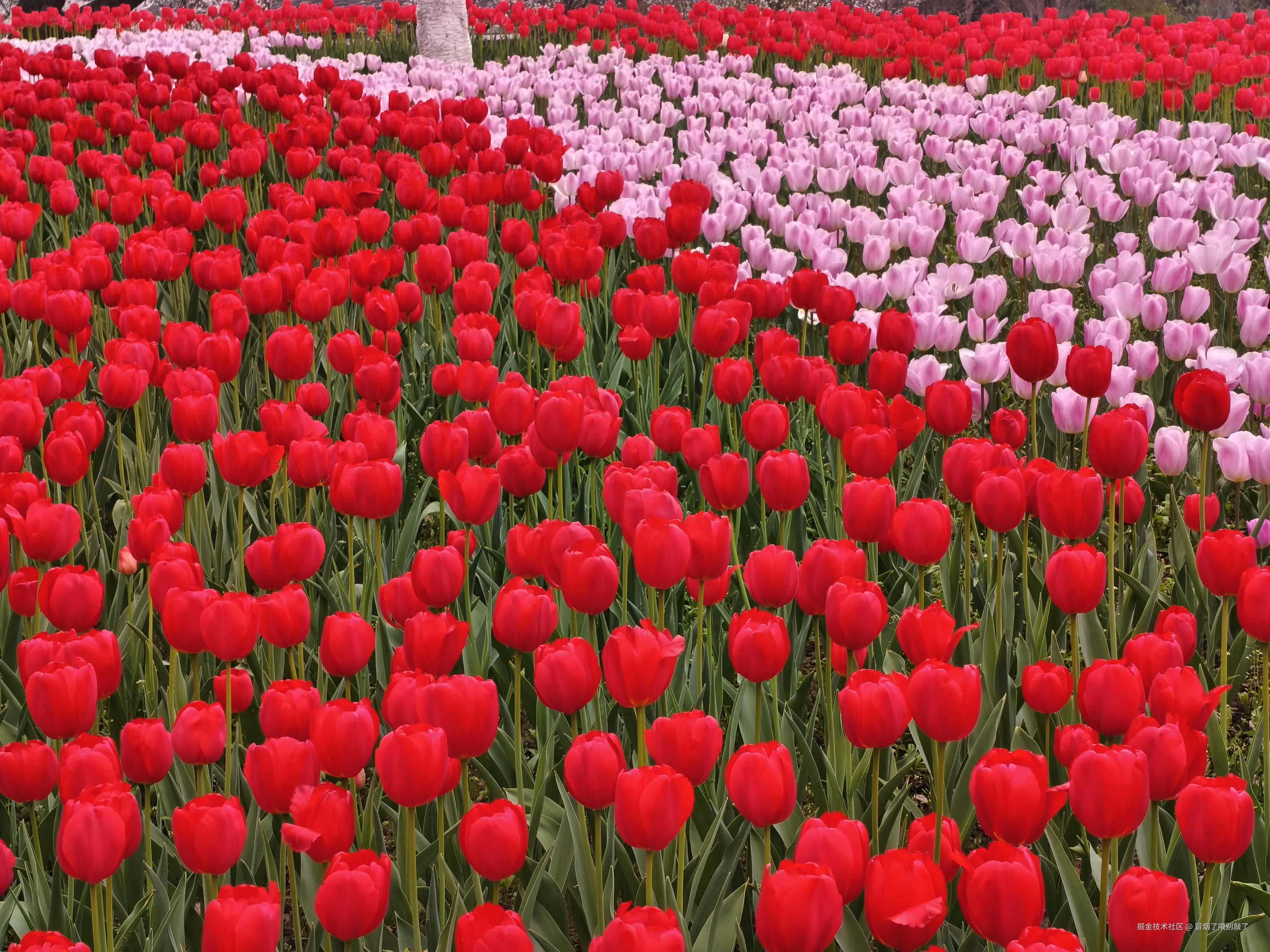 冒烟了喂别敲了于2026-03-23 12:05发布的图片