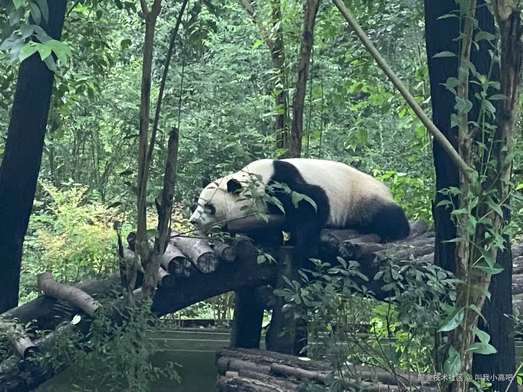 叫我小高吧于2025-11-13 09:11发布的图片