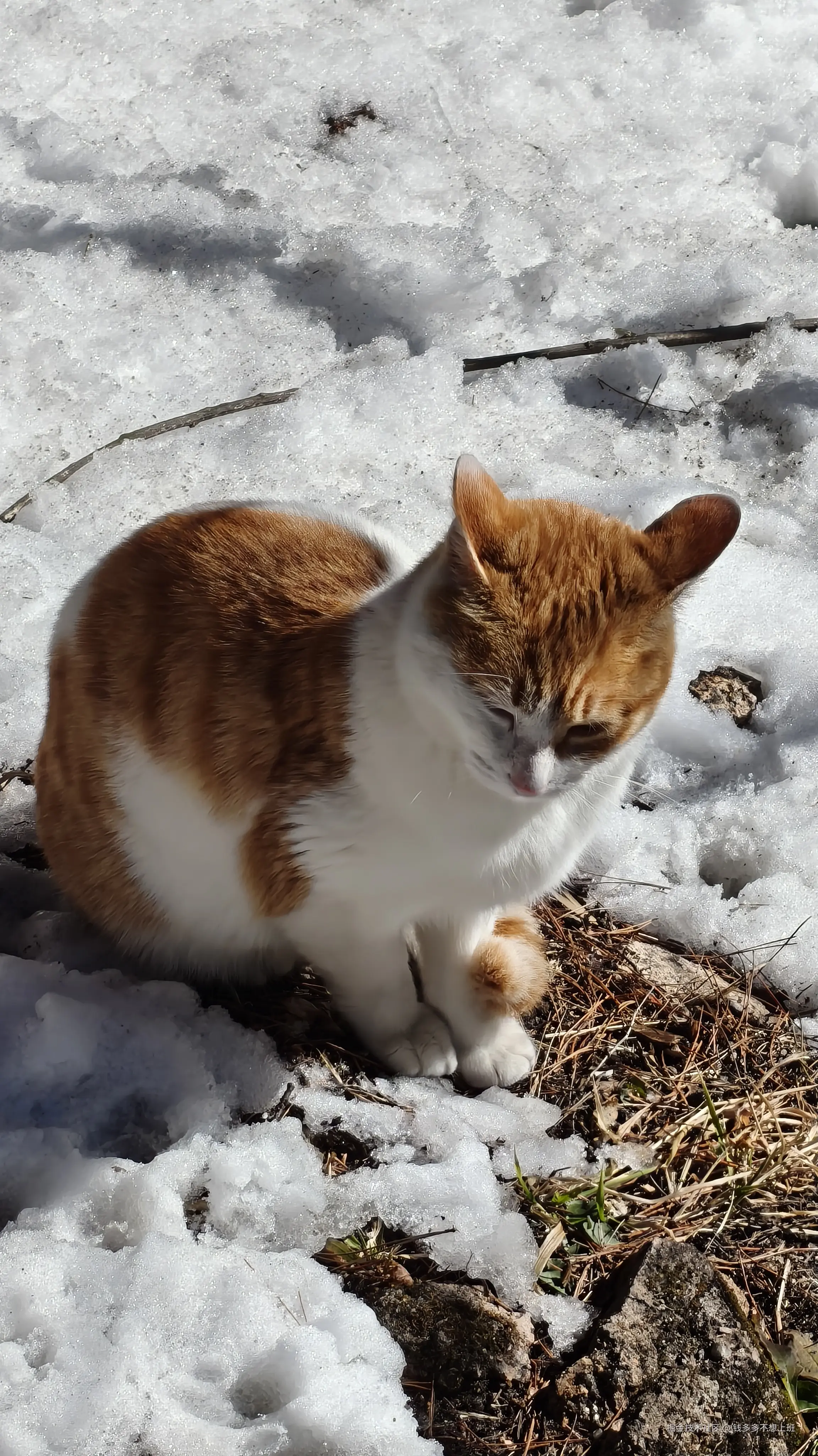 钱多多不想上班于2026-01-05 08:00发布的图片