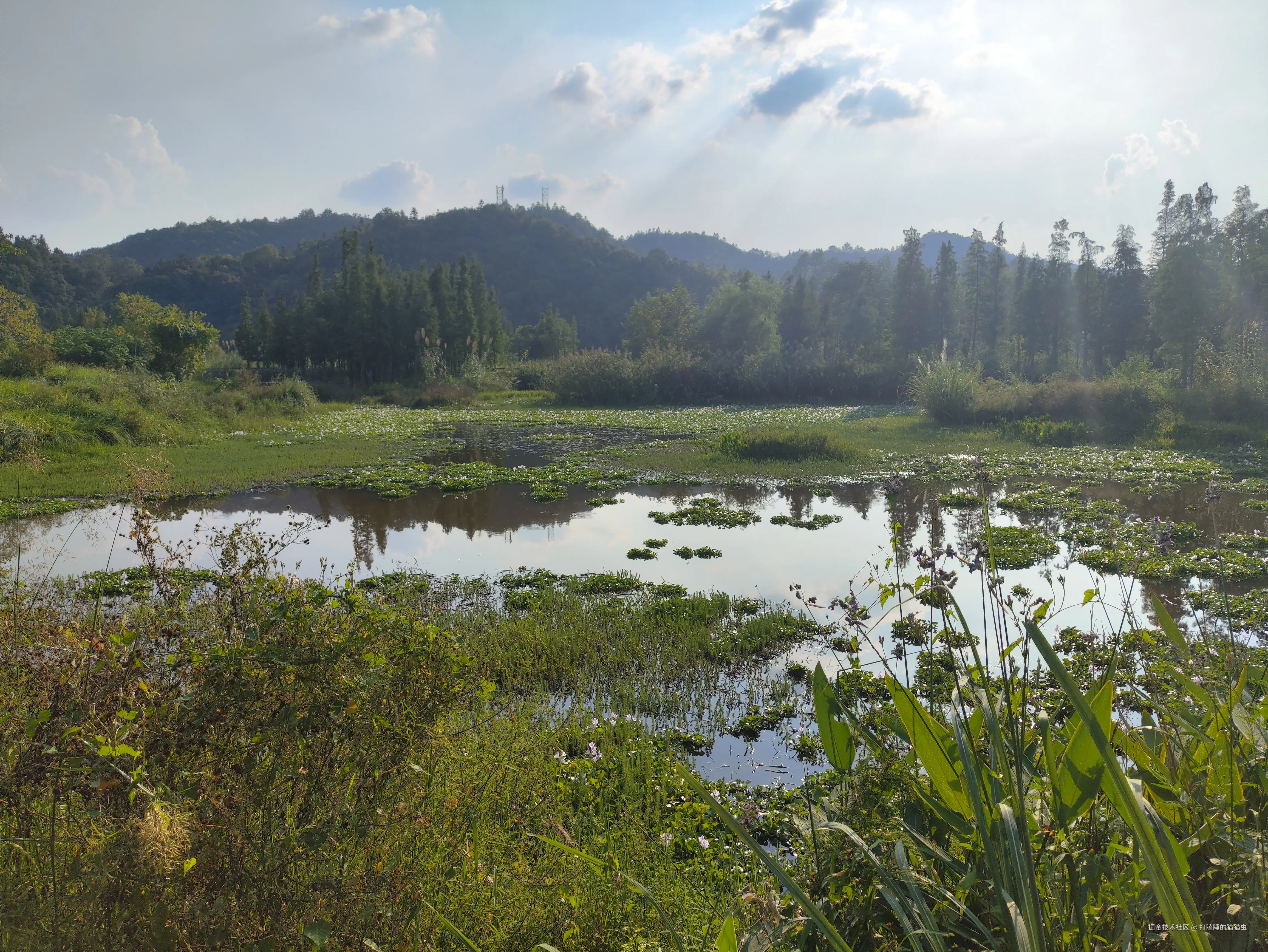 打瞌睡的猫猫虫于2025-10-09 13:56发布的图片