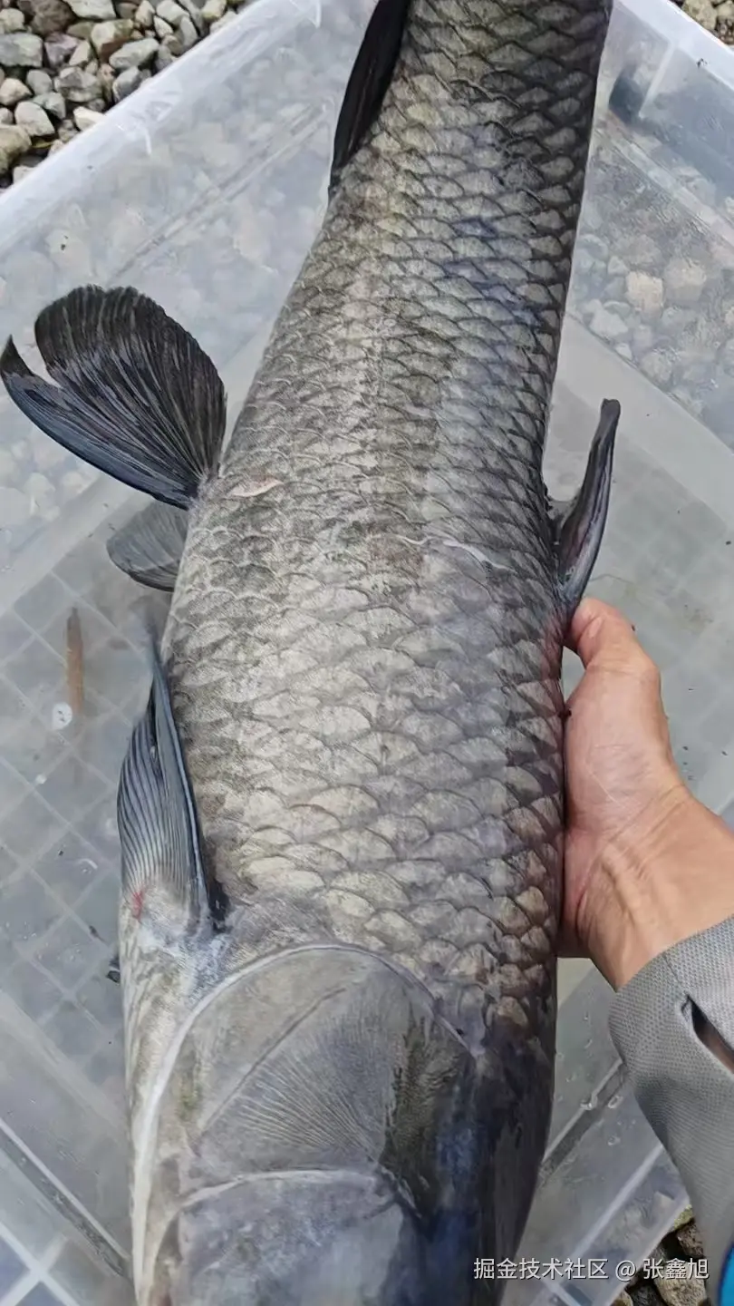 张鑫旭于2025-09-30 11:10发布的图片