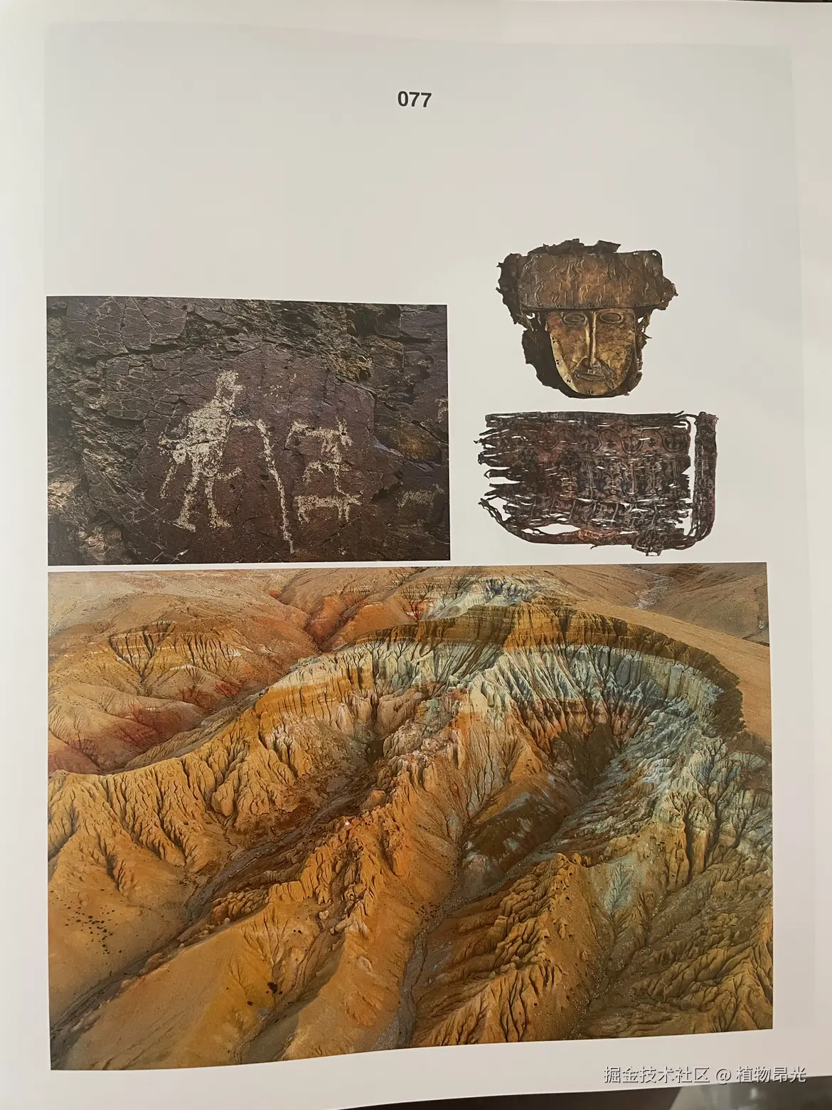 植物昂光于2026-03-01 14:21发布的图片