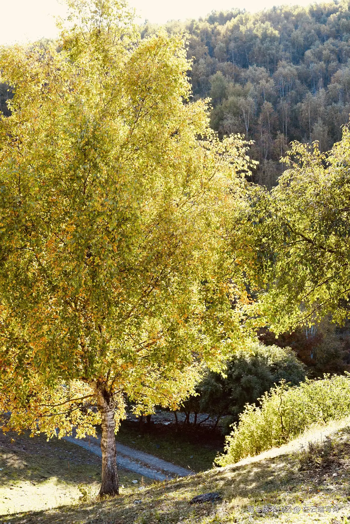 在云端写诗于2025-09-22 15:08发布的图片