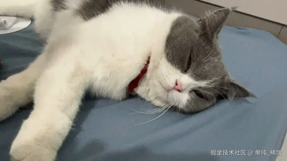 单纯_稀饭于2026-08-31 01:36发布的图片
