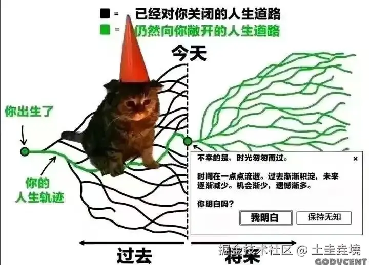 土圭垚墝于2025-04-25 11:12发布的图片