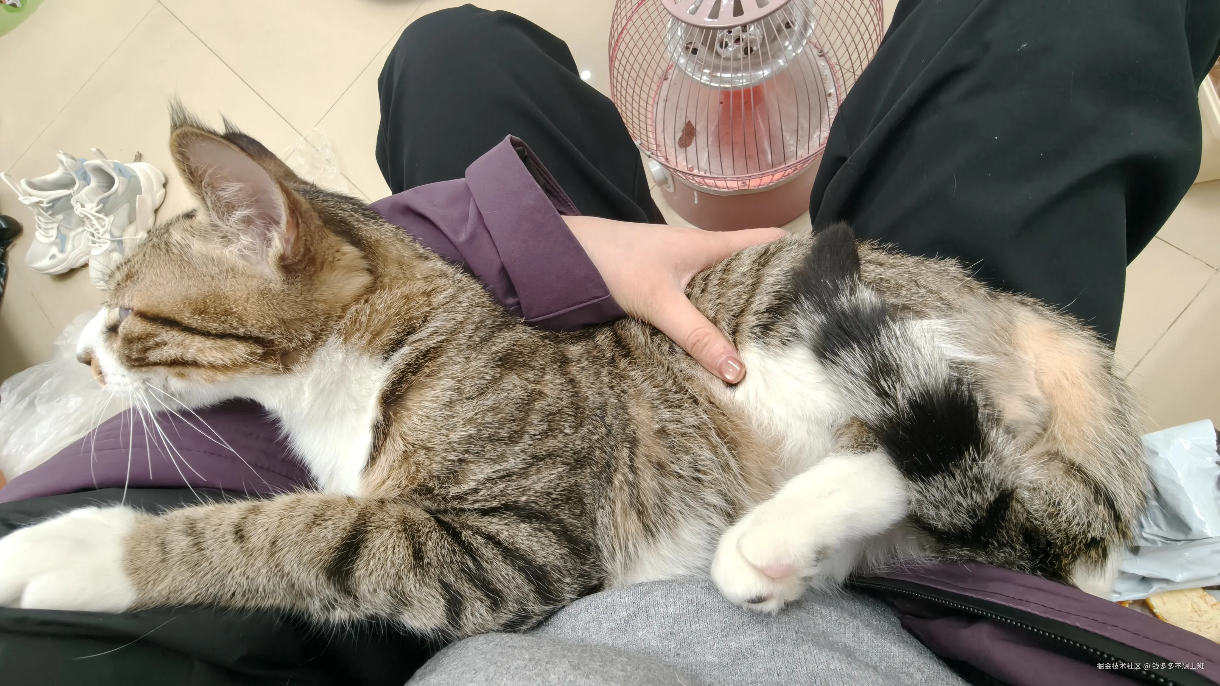 钱多多不想上班于2026-02-02 10:37发布的图片