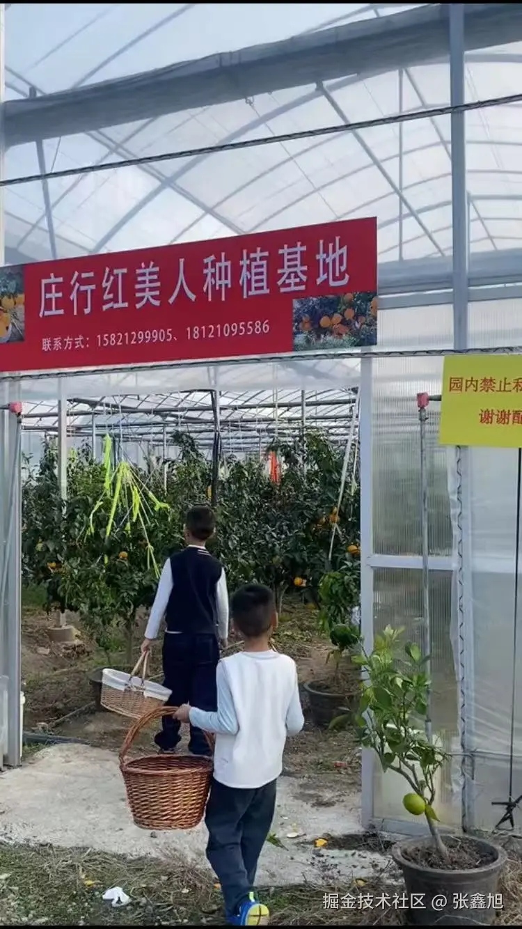 张鑫旭于2024-11-04 11:53发布的图片