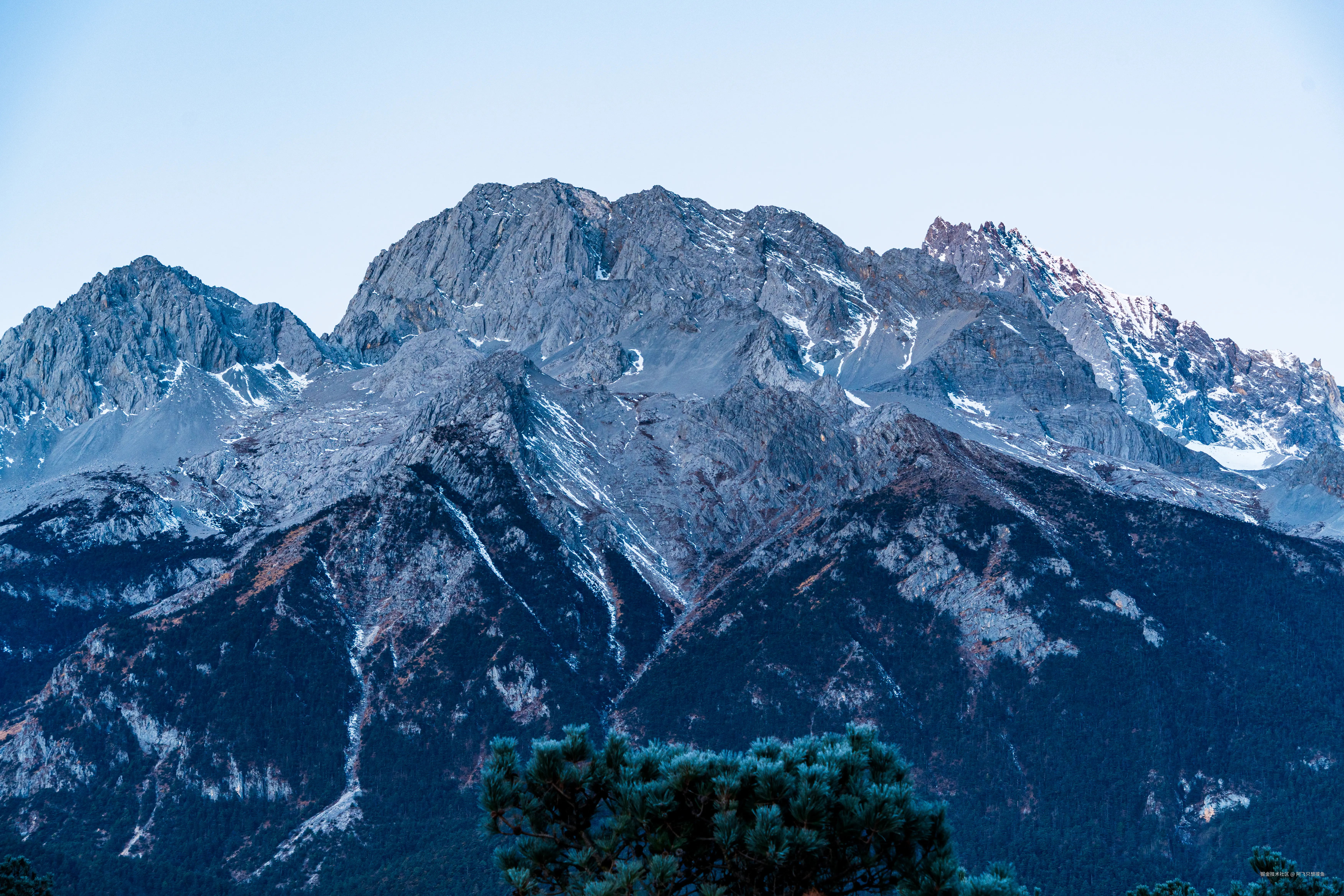 阿飞只想摸鱼于2026-02-11 14:53发布的图片