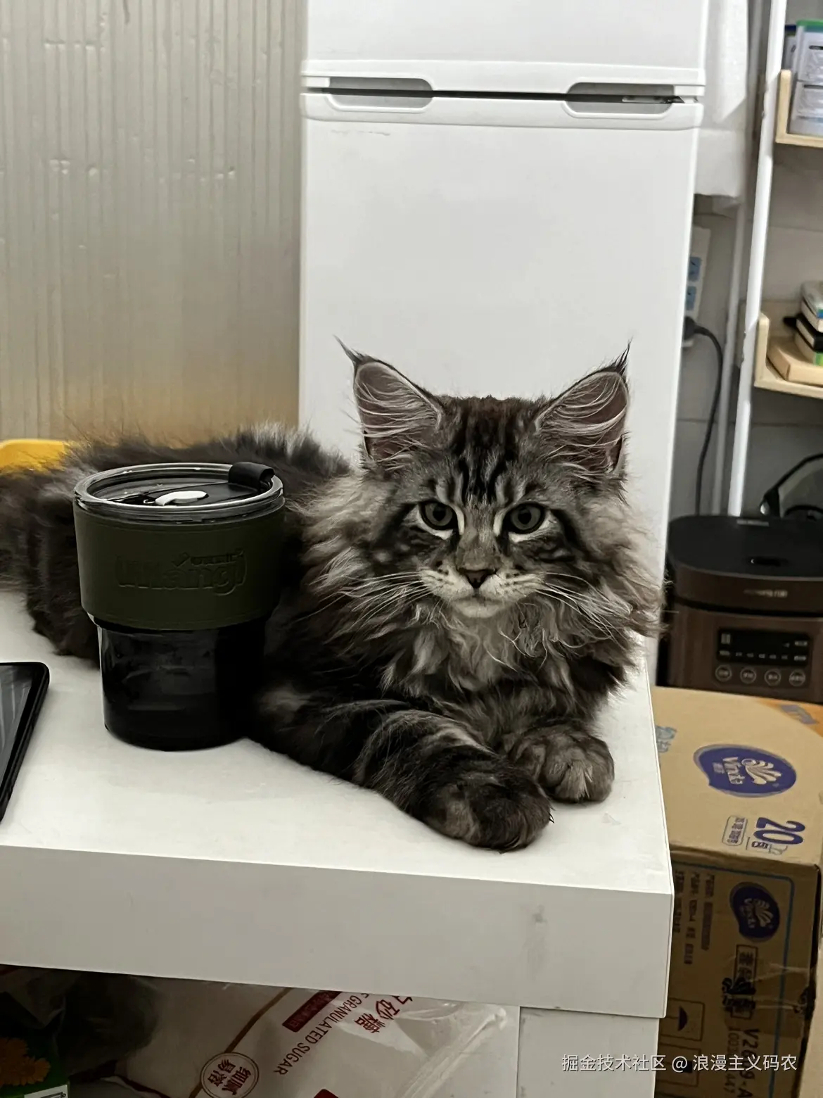 浪漫主义码农于2024-08-27 11:27发布的图片