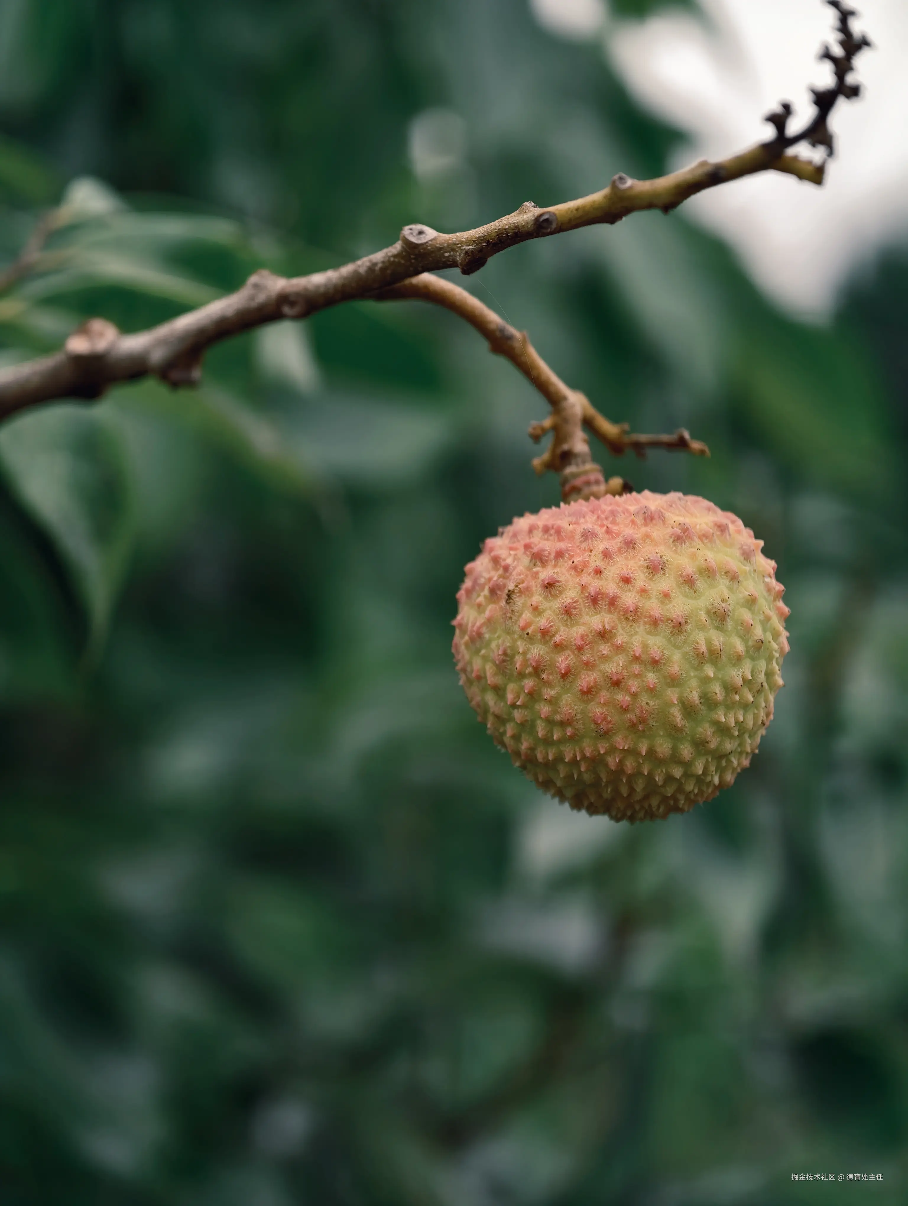 德育处主任于2025-05-29 16:01发布的图片