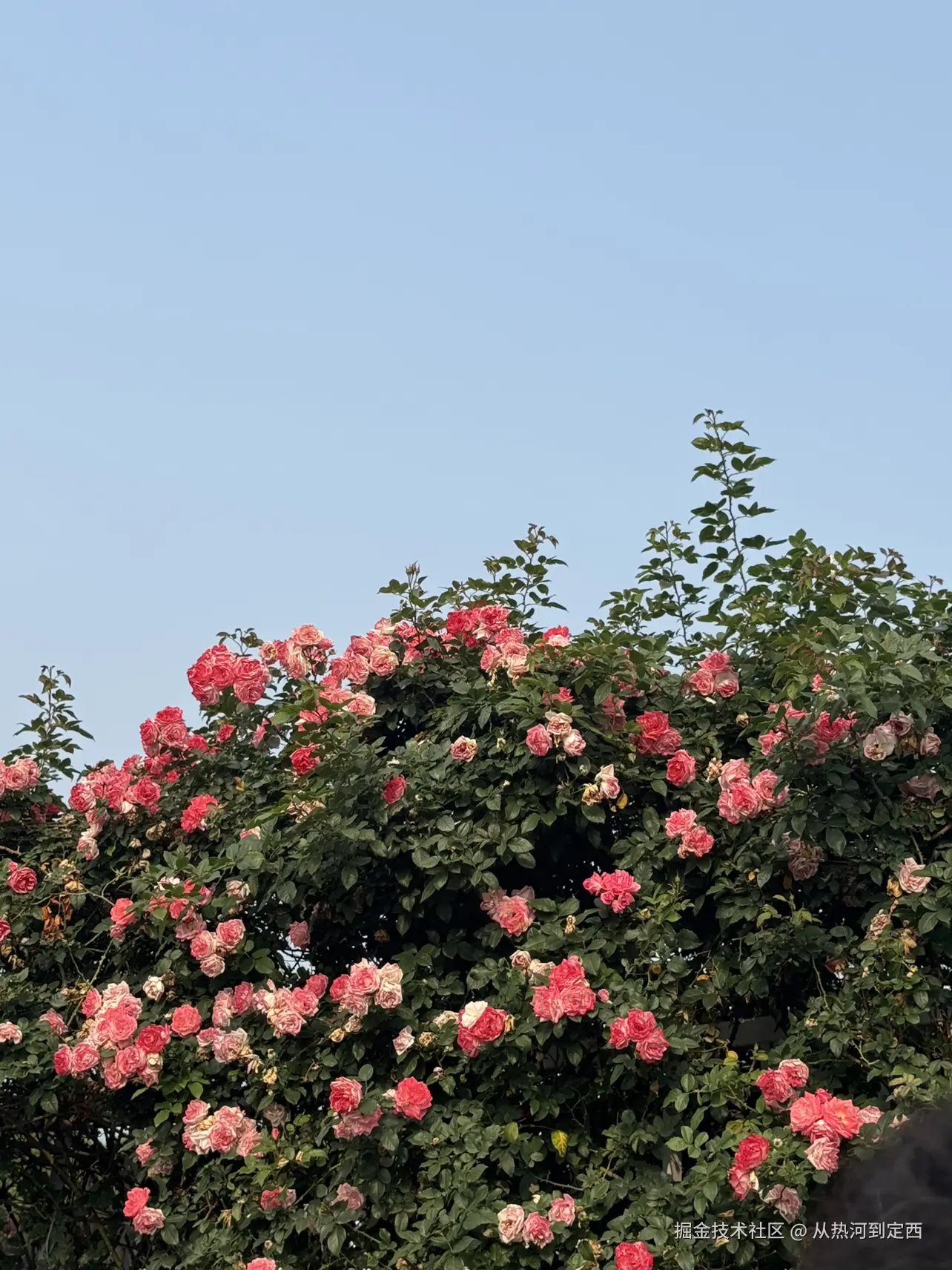 从热河到定西于2025-02-21 09:43发布的图片