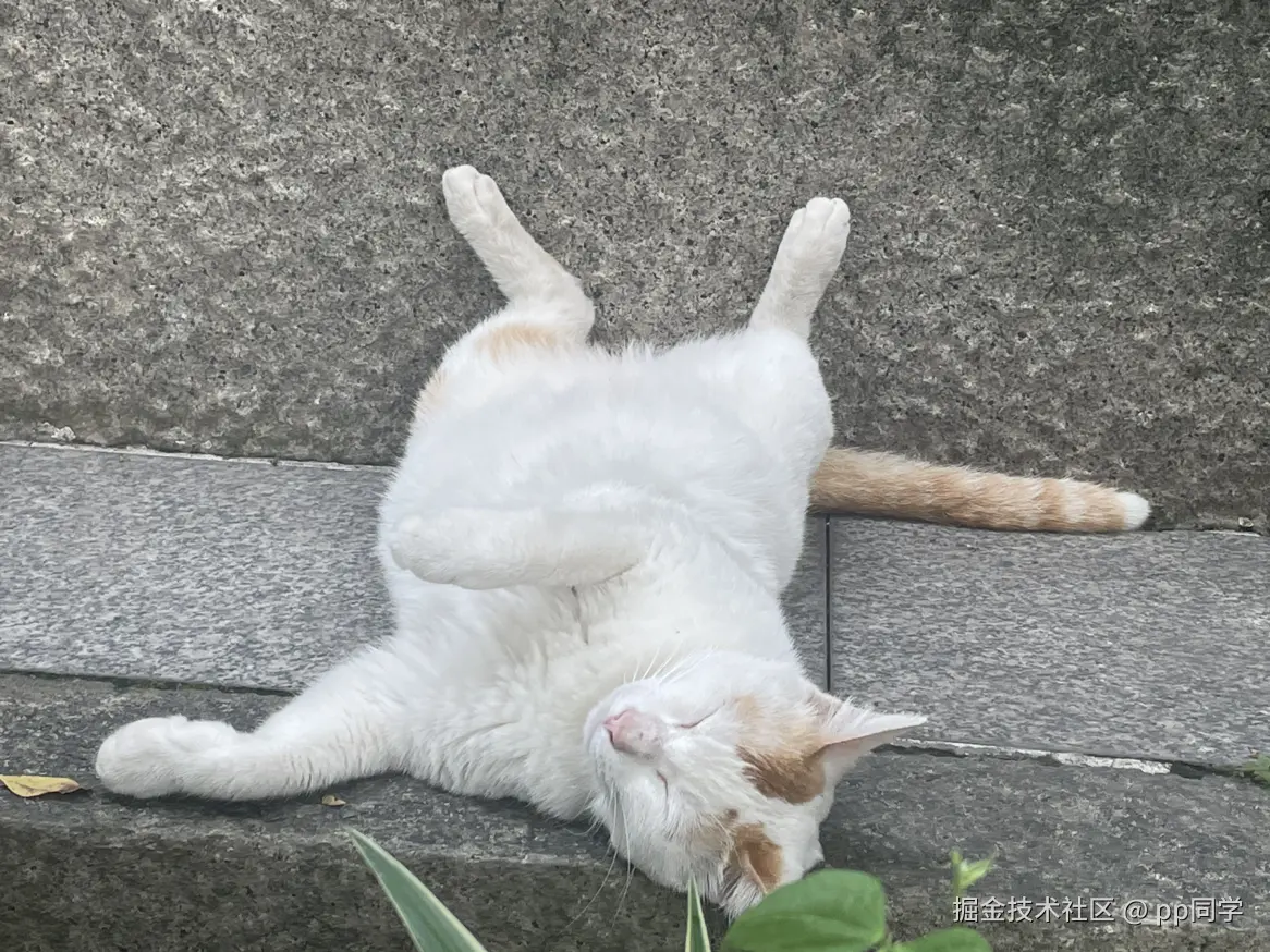 pp同学于2025-06-23 13:32发布的图片