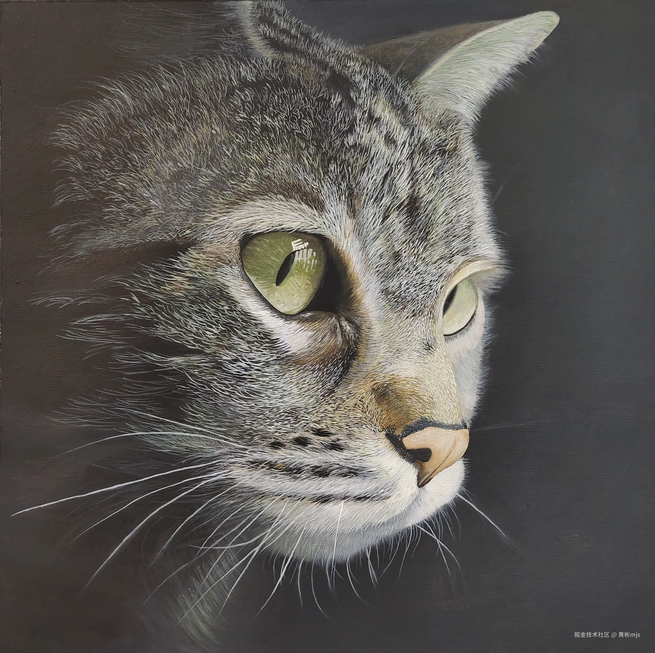 黄彬mjs于2024-08-21 10:40发布的图片