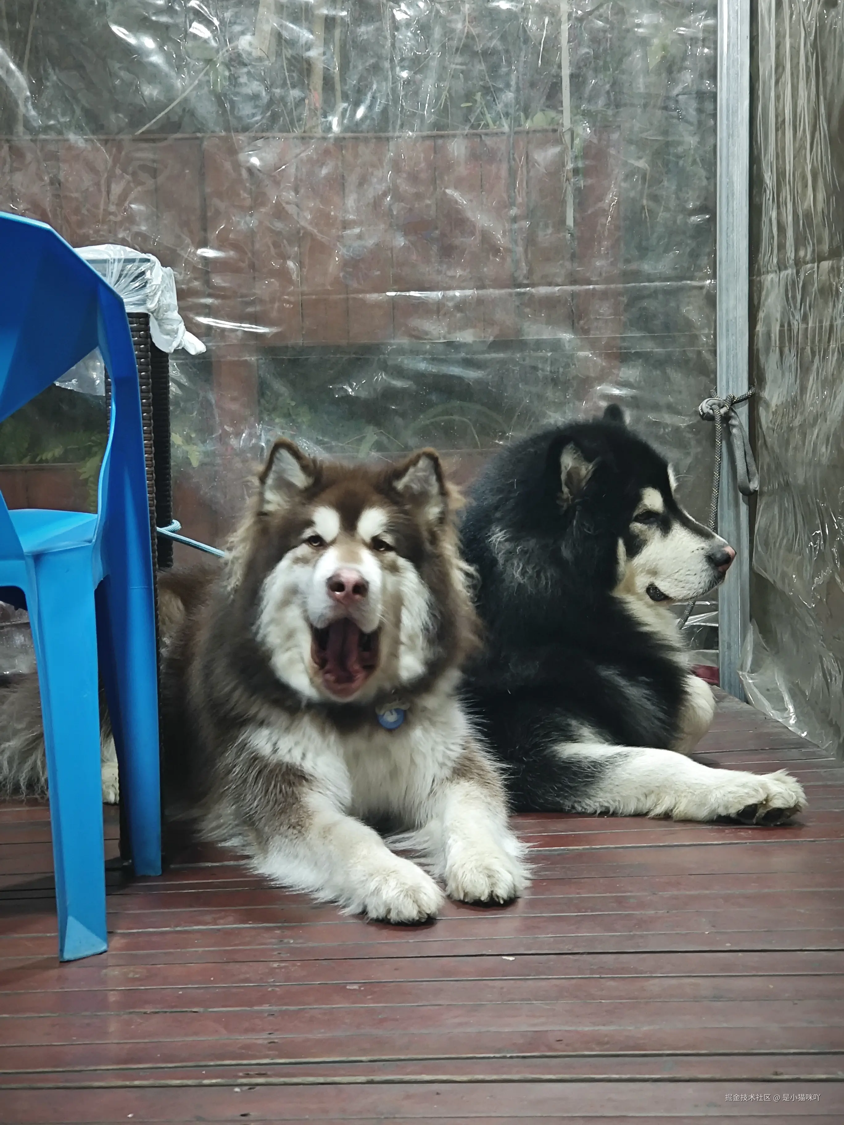 是小猫咪吖于2025-09-16 15:48发布的图片