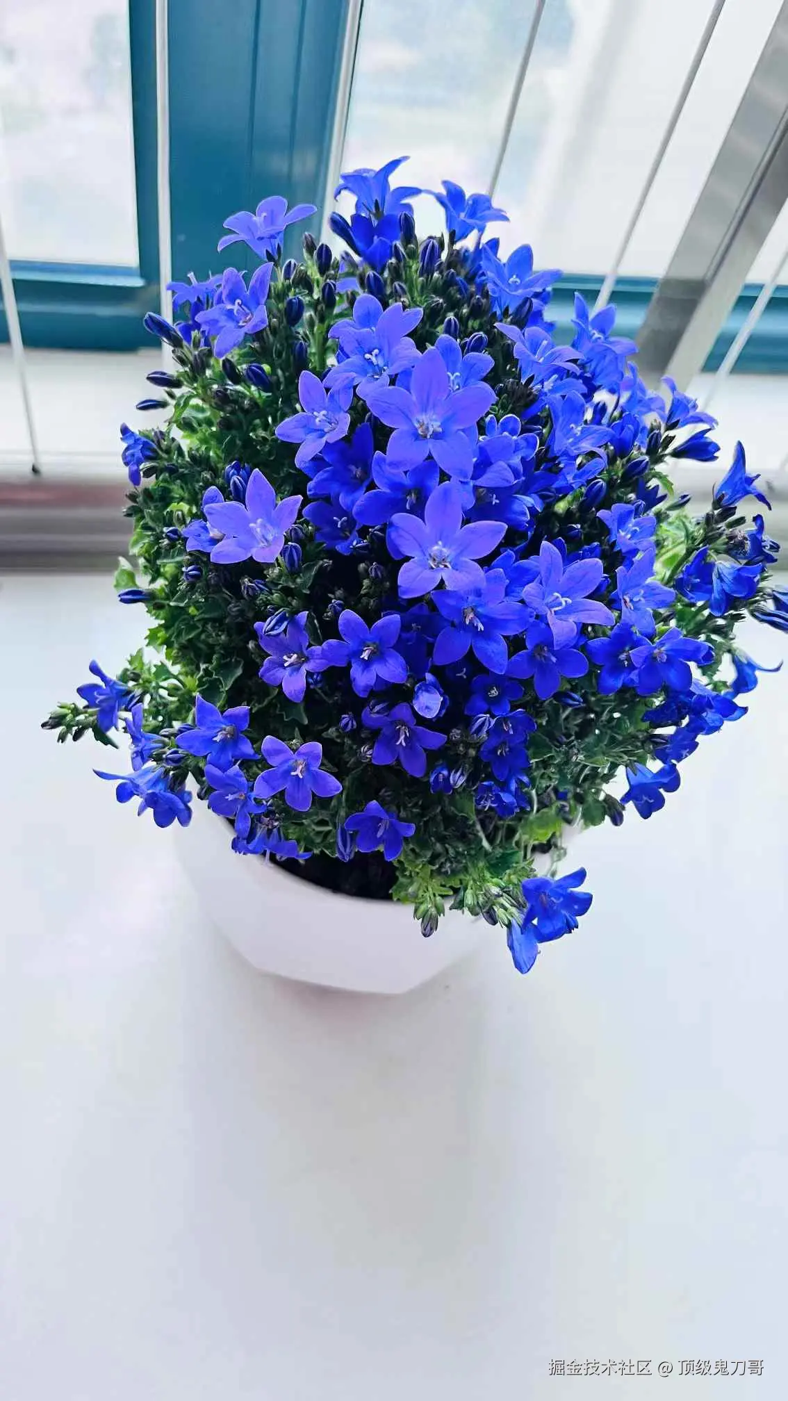 顶级鬼刀哥于2025-02-17 03:17发布的图片