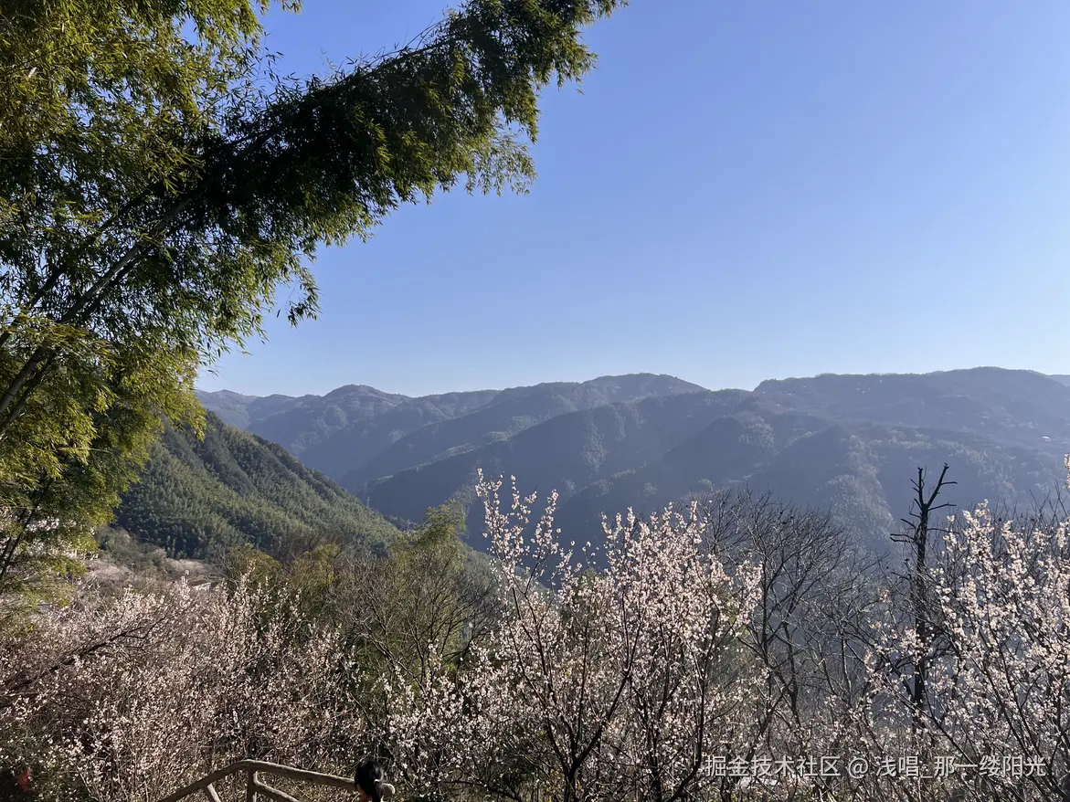 浅唱_那一缕阳光于2026-04-01 10:01发布的图片