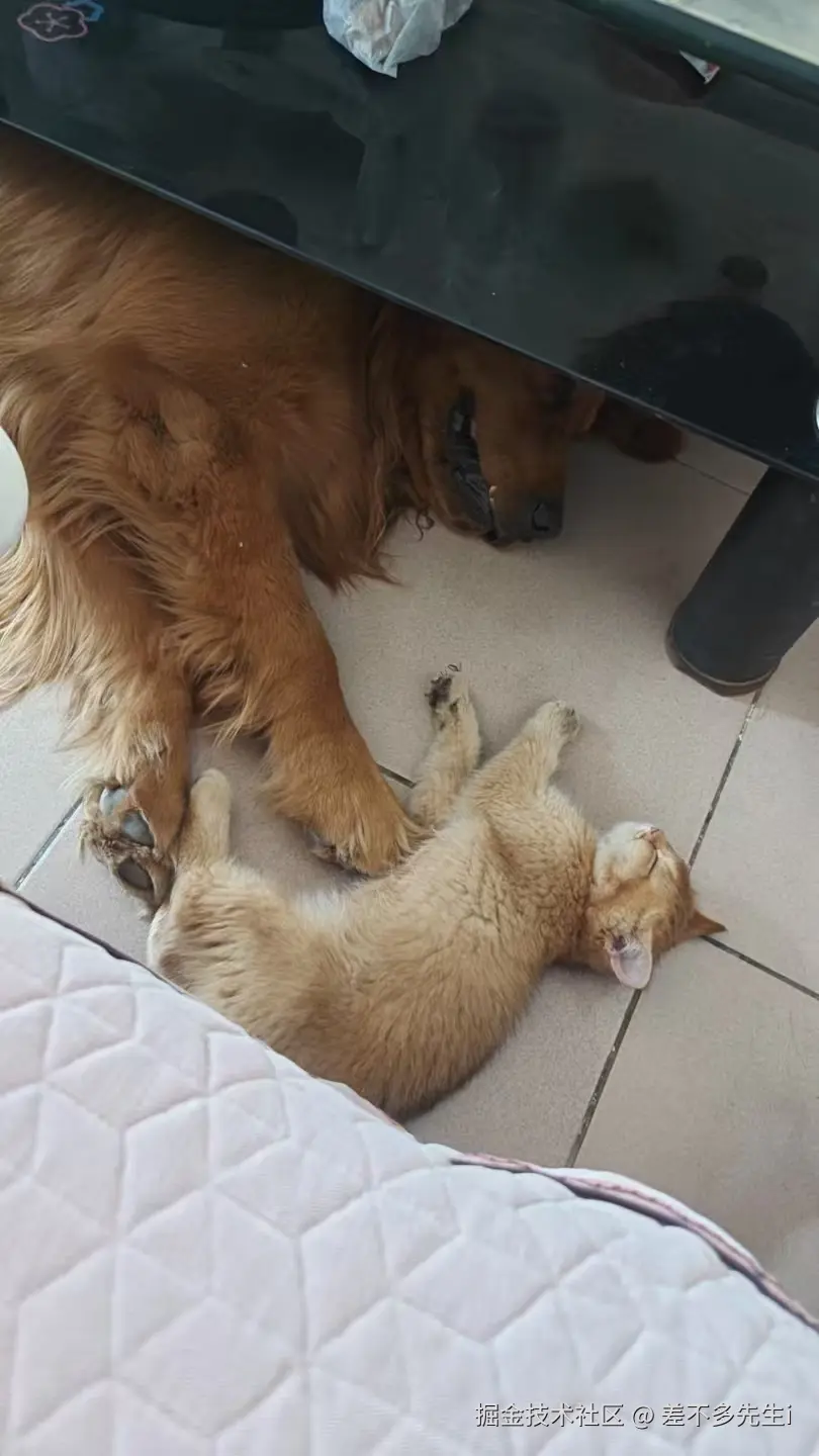 差不多先生i于2026-01-14 18:05发布的图片