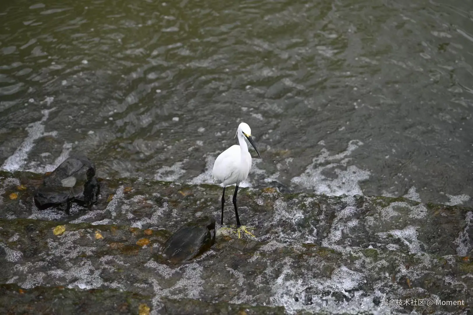 Moment于2025-06-16 14:48发布的图片