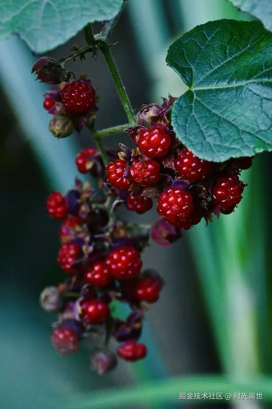 时光离世于2025-12-01 10:34发布的图片