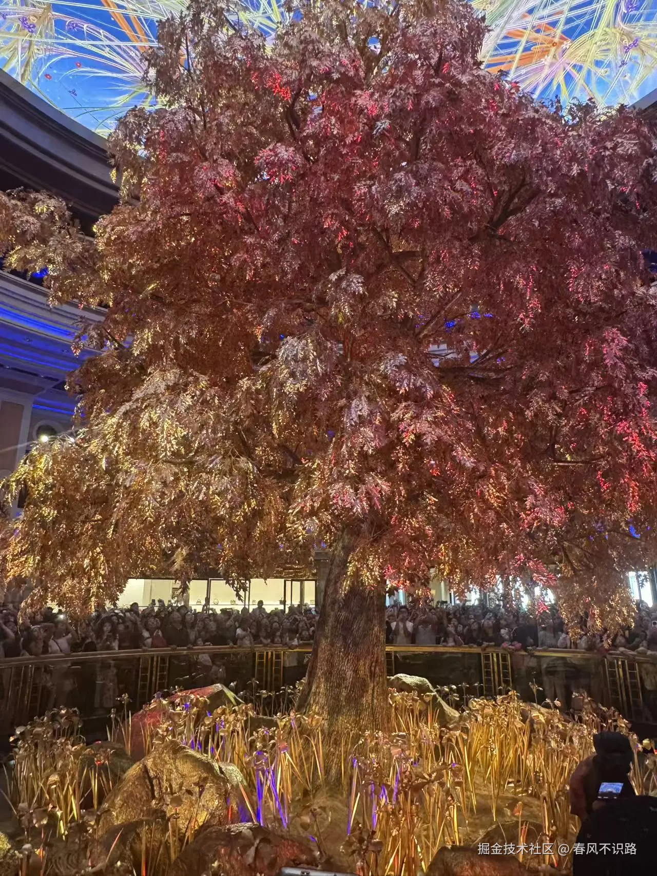 春风不识路于2025-12-22 10:50发布的图片