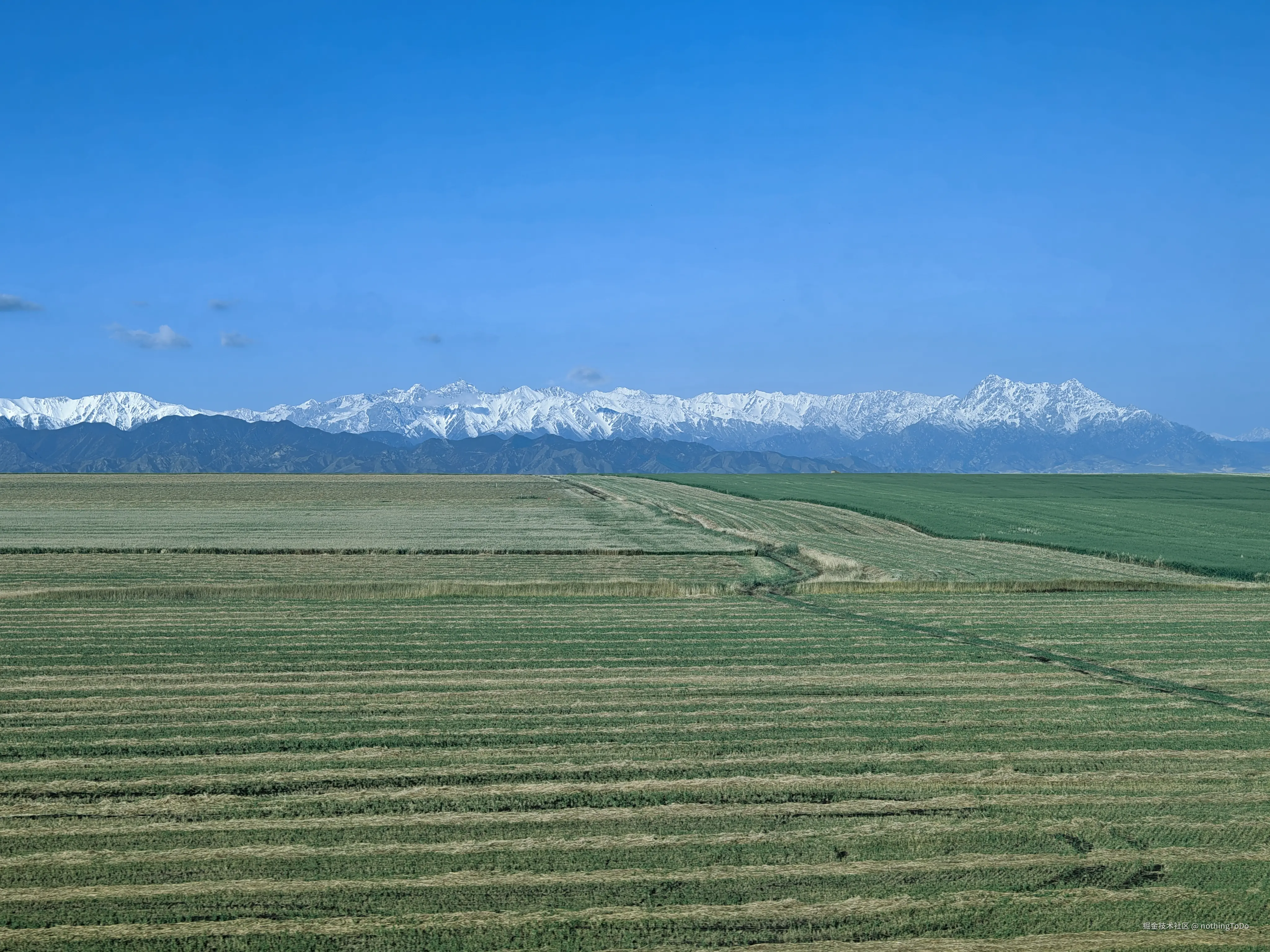 nothingToDo于2025-04-10 14:59发布的图片