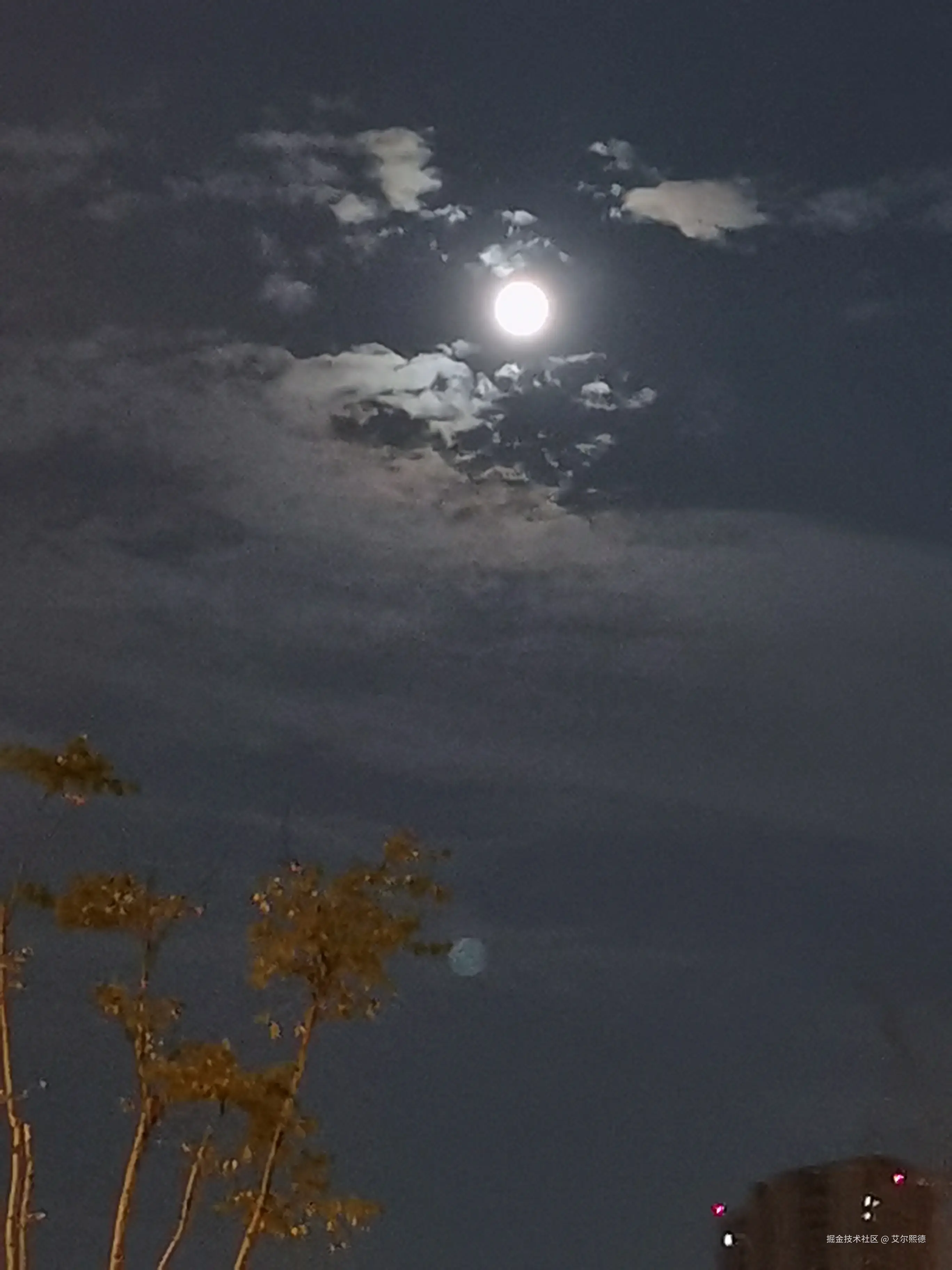 艾尔熙德于2024-08-20 13:36发布的图片