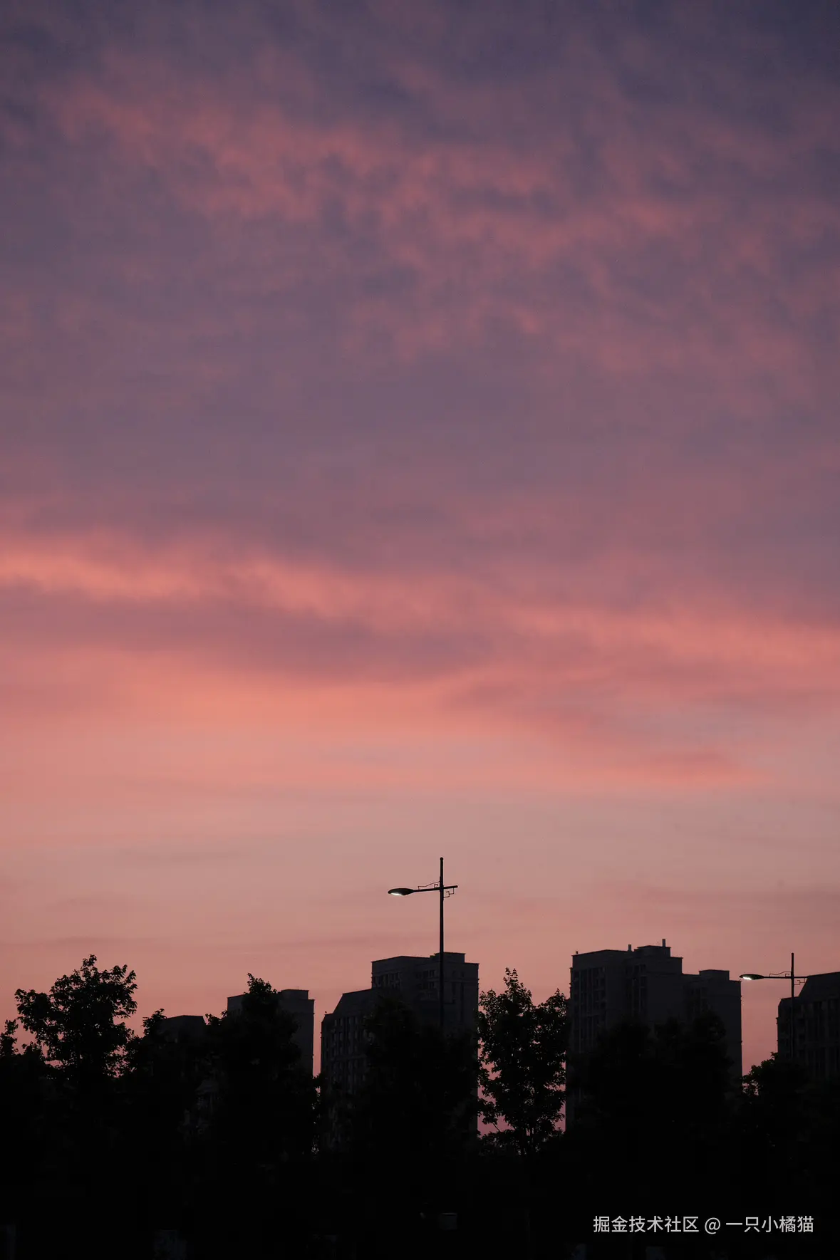 一只小橘猫于2025-05-12 12:13发布的图片