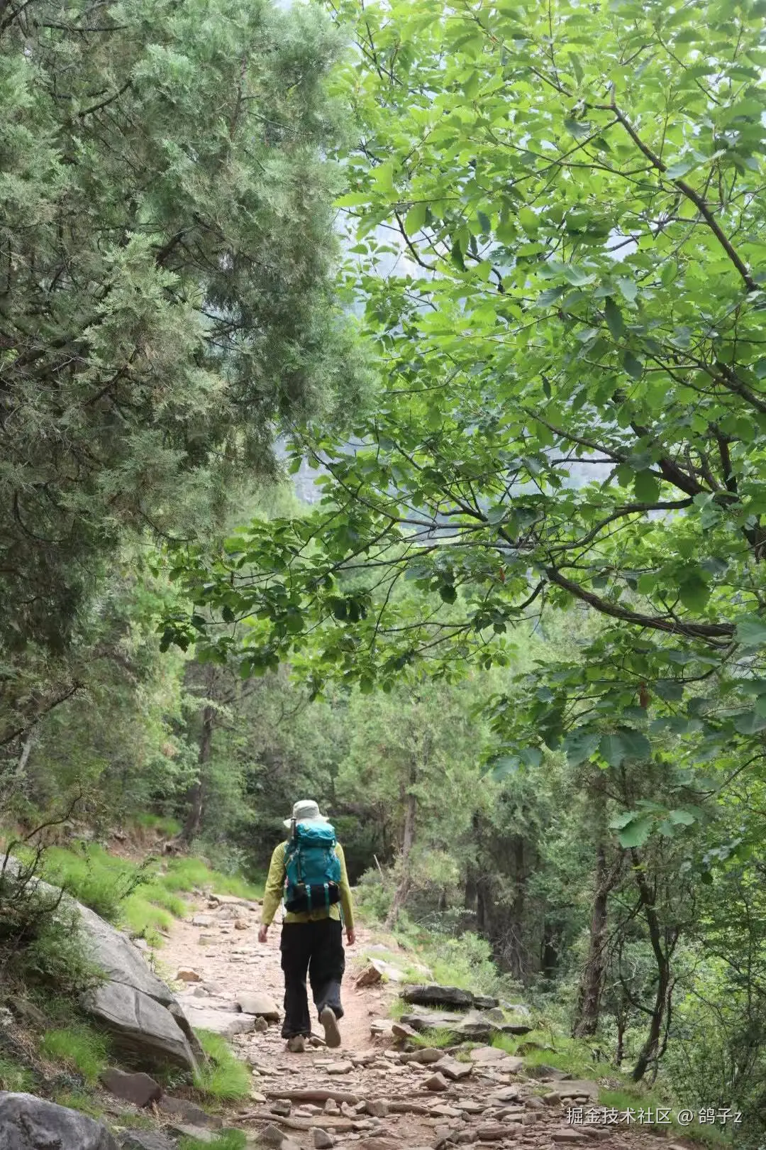 鸽子z于2025-06-16 09:27发布的图片