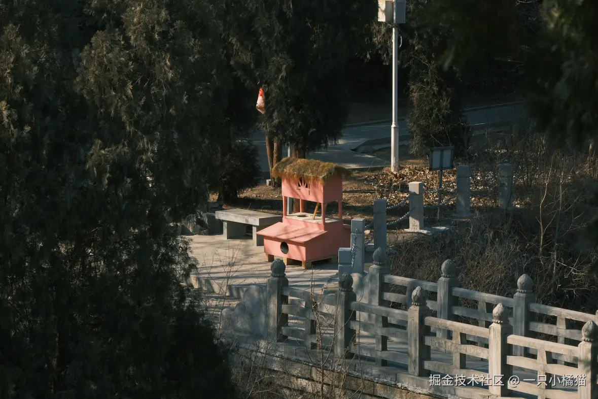 一只小橘猫于2026-02-09 09:16发布的图片