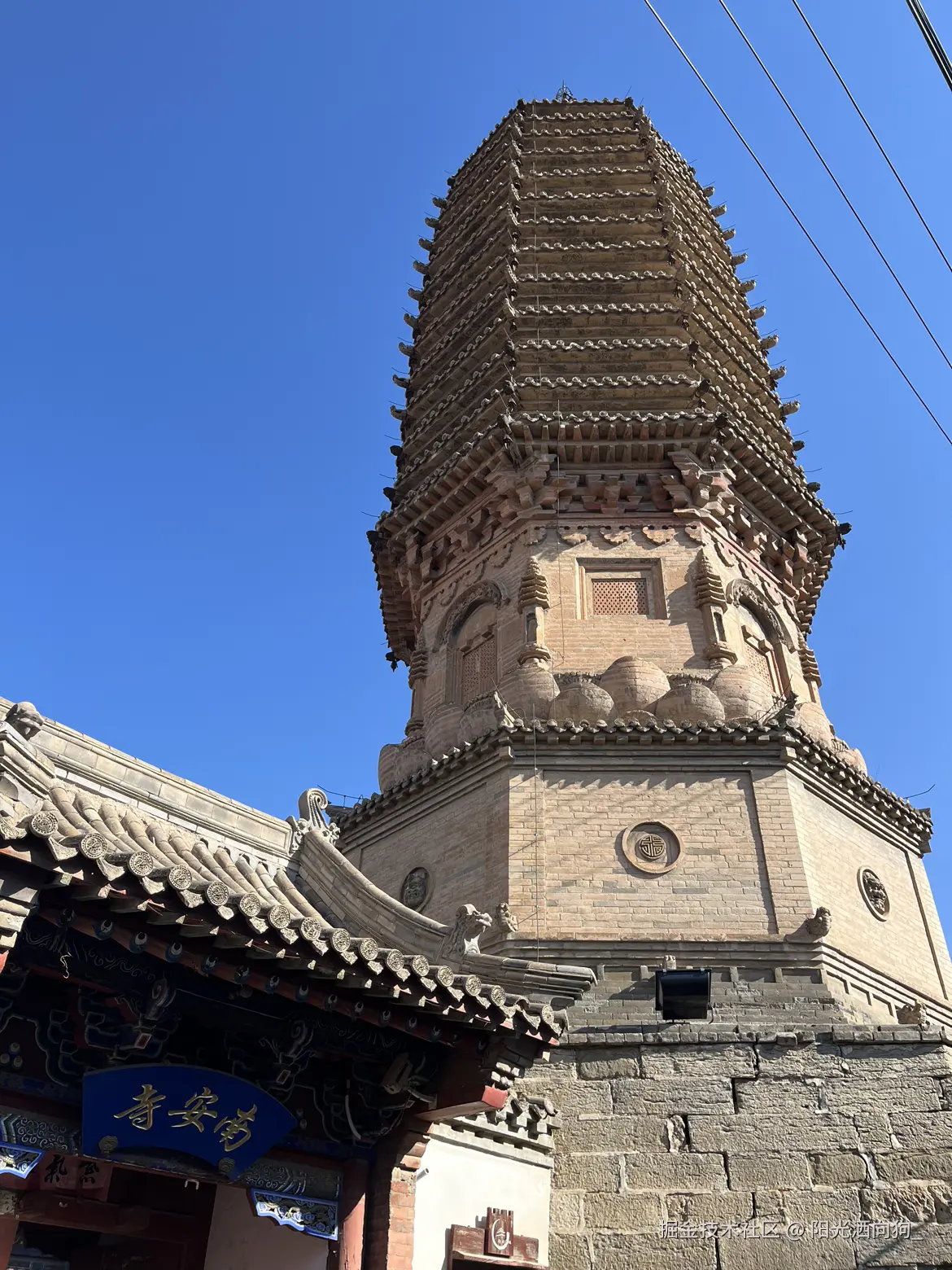 阳光洒向狗_于2024-11-14 11:25发布的图片