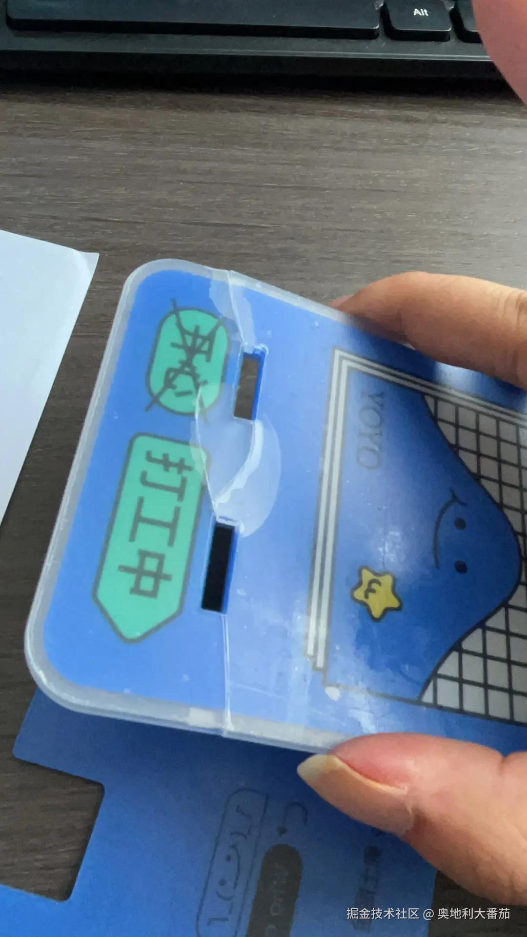 奥地利大番茄于2024-07-22 12:02发布的图片