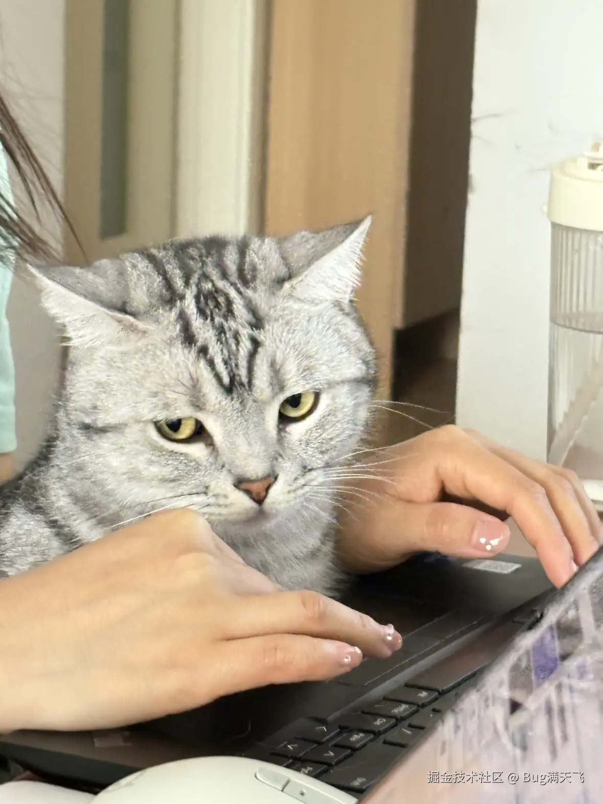 Bug满天飞于2025-04-16 14:35发布的图片