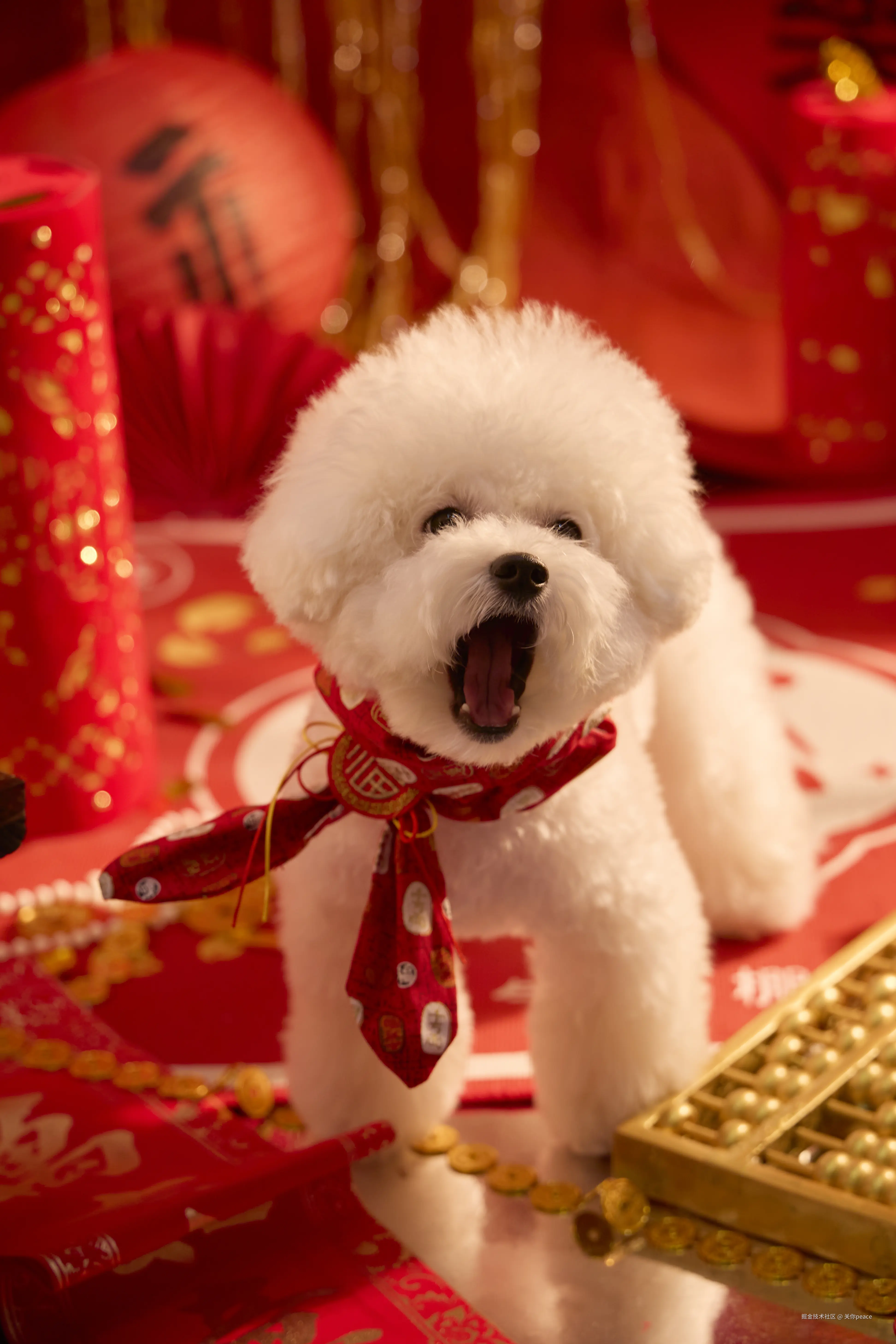 关你peace于2025-01-02 01:48发布的图片