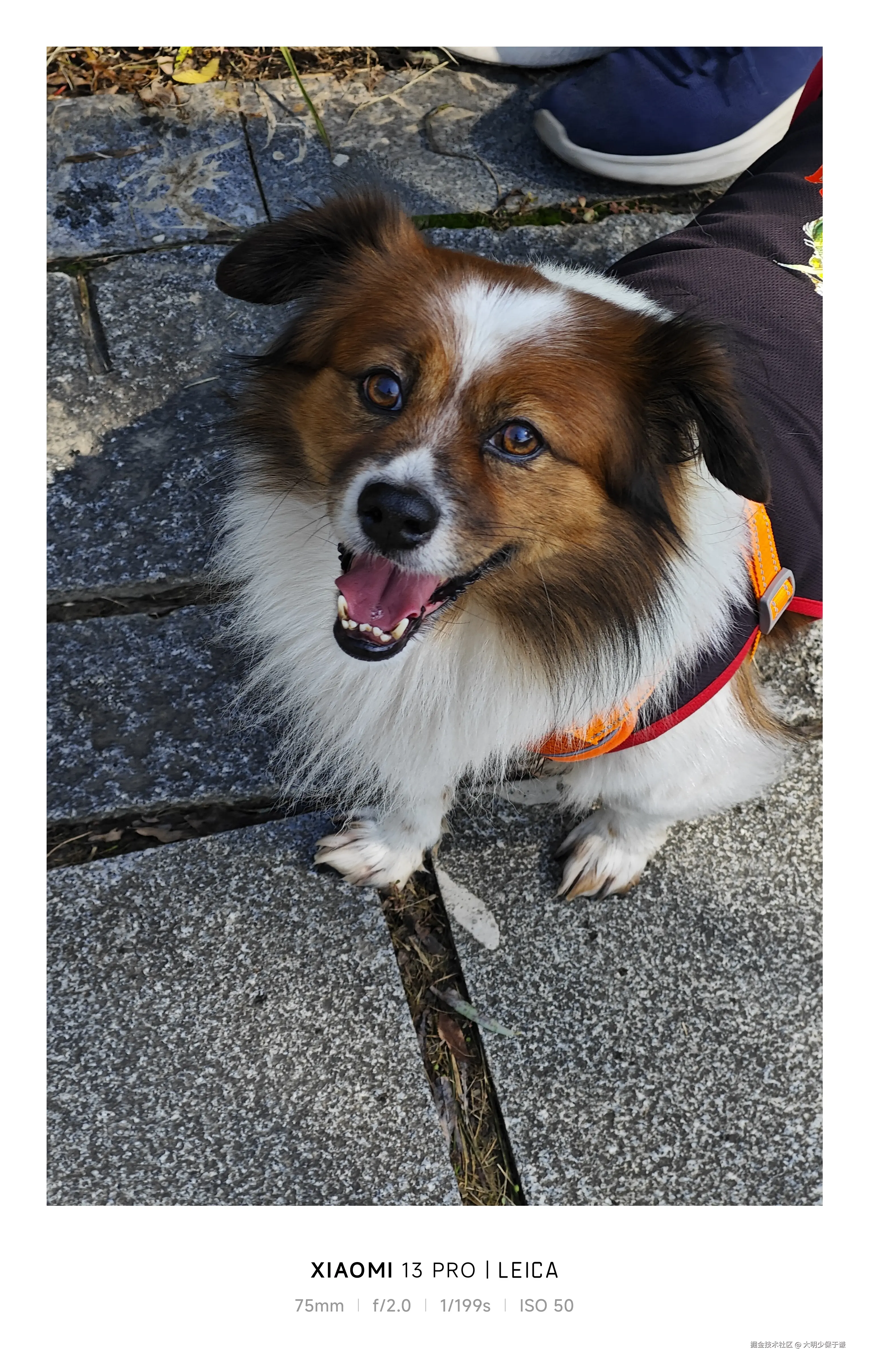 大明少保于谦于2024-11-08 11:32发布的图片