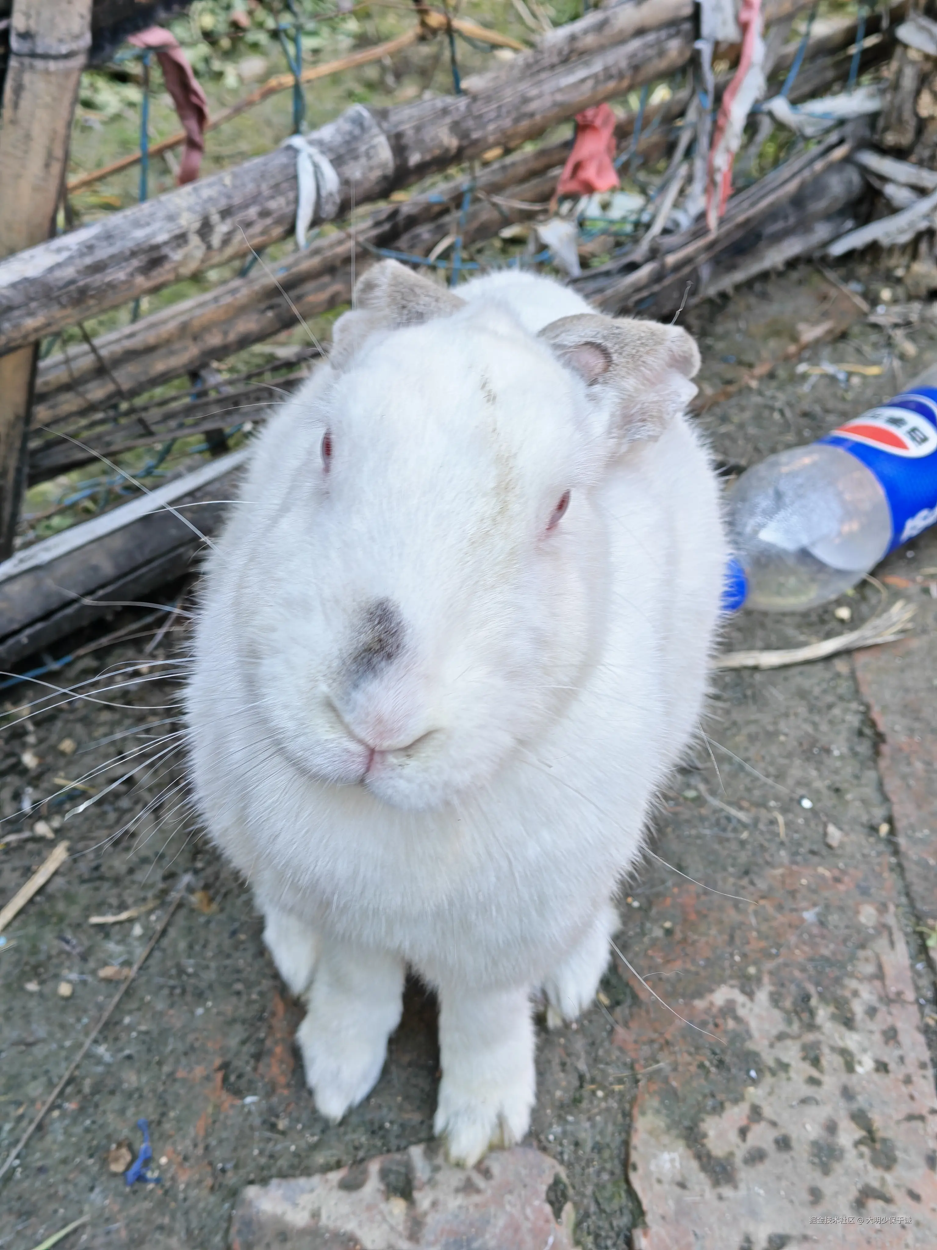 大明少保于谦于2026-02-25 16:39发布的图片