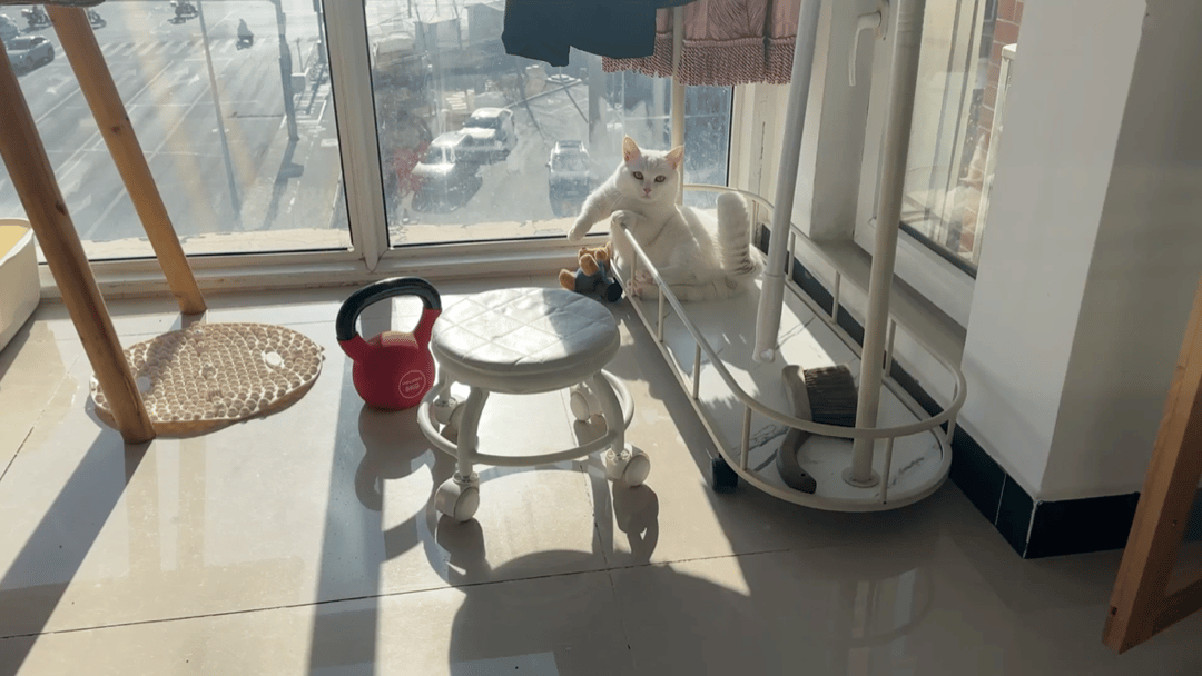 就爱吃火锅于2026-01-13 14:59发布的图片