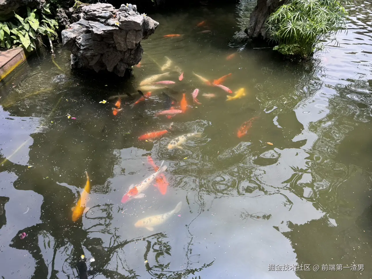 前端第一渣男于2026-02-10 10:33发布的图片