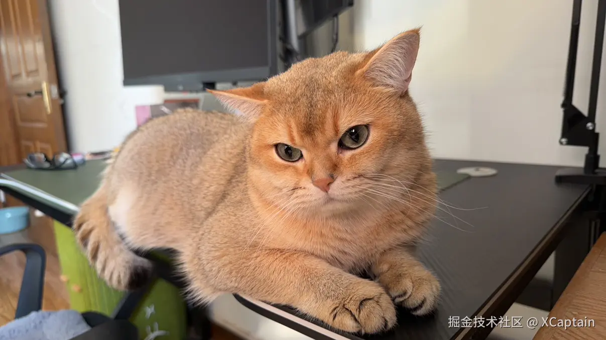 XCaptain于2026-02-10 09:14发布的图片