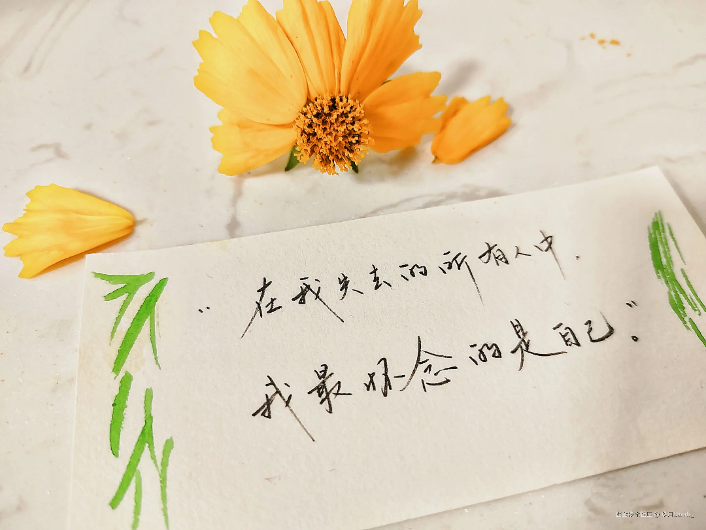 玖月Sarah_于2025-05-28 08:33发布的图片