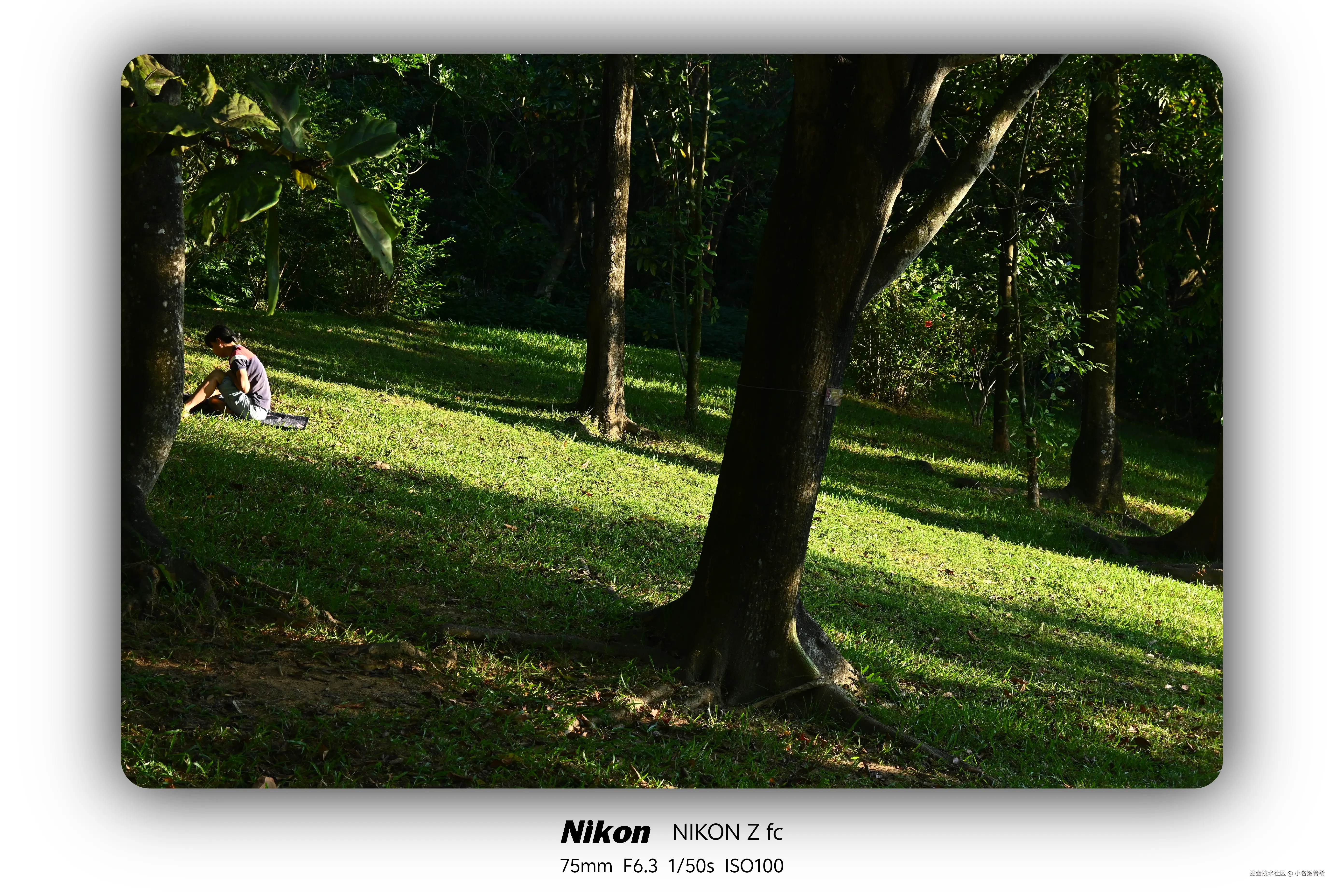 小名饭特稀于2025-11-10 09:59发布的图片