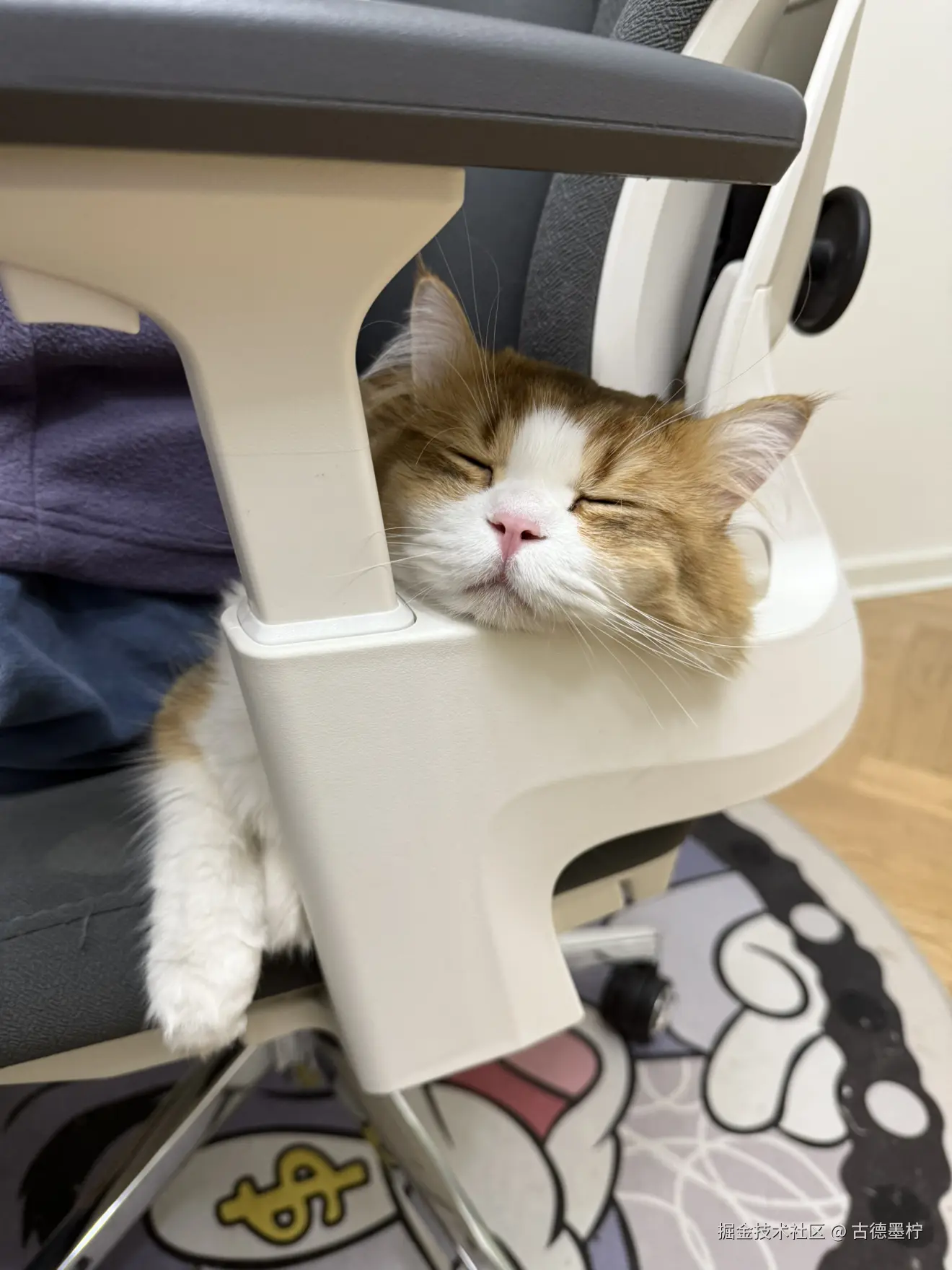 古德墨柠于2026-01-30 17:53发布的图片