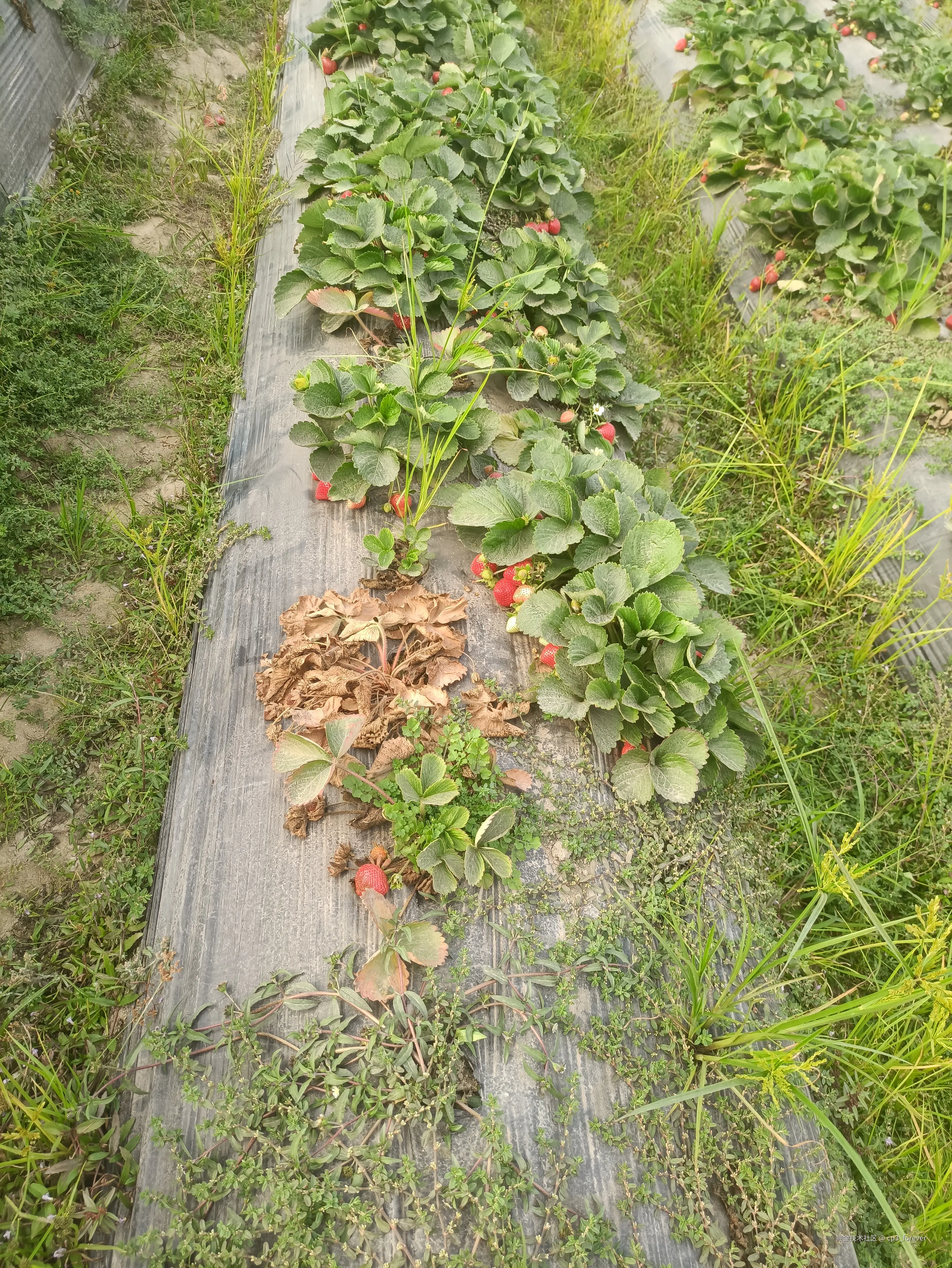 cp3_forever于2026-02-23 14:21发布的图片