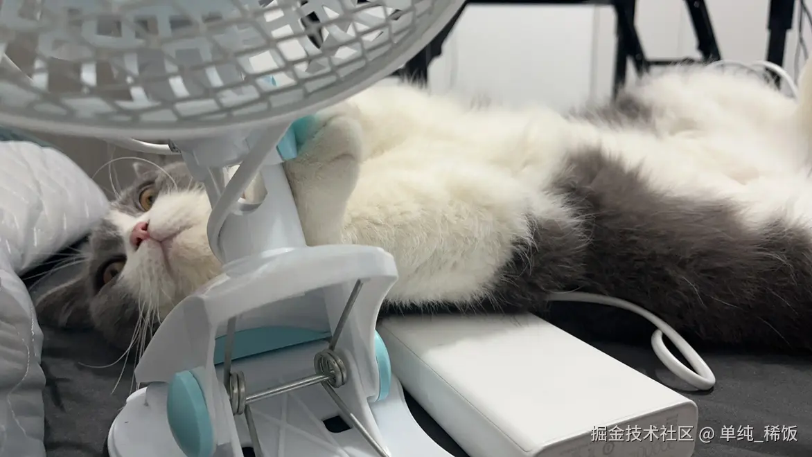 单纯_稀饭于2024-09-23 08:46发布的图片