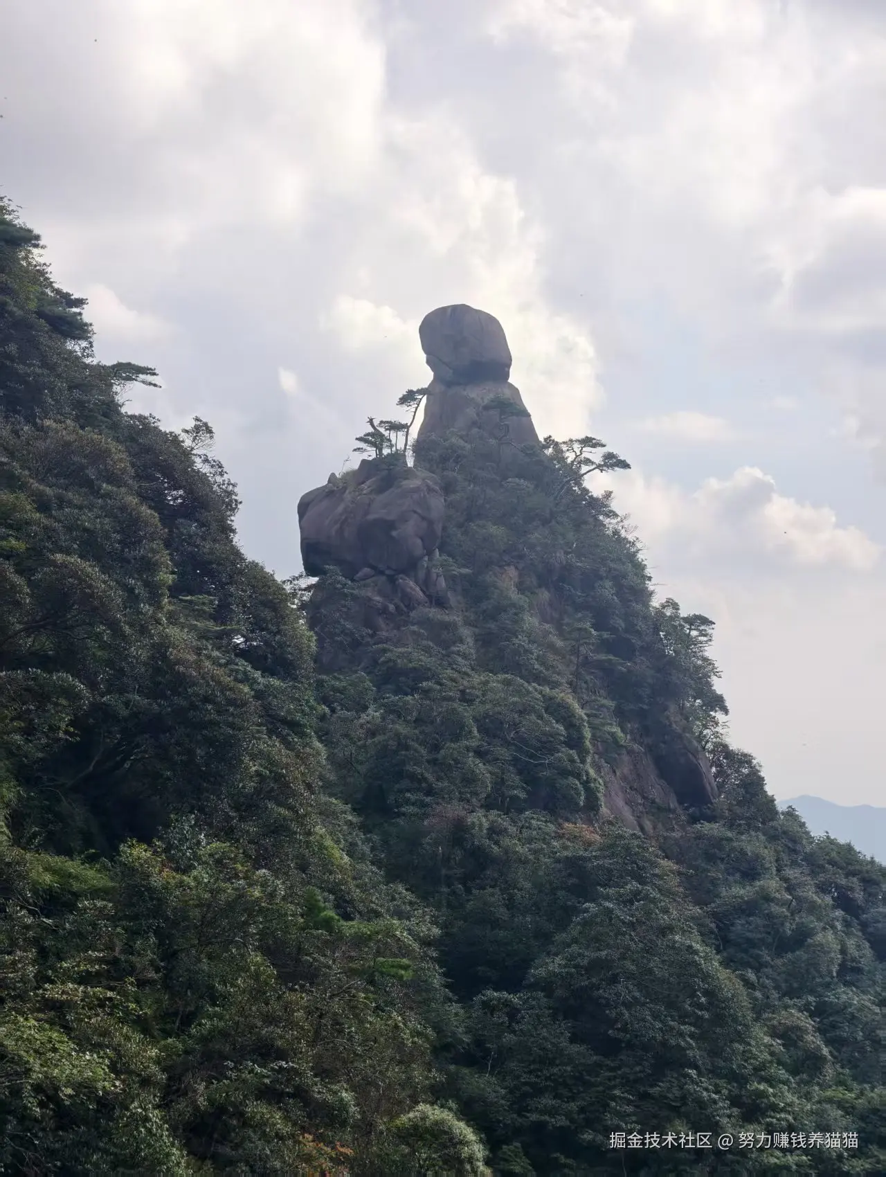 努力赚钱养猫猫于2025-10-23 11:17发布的图片