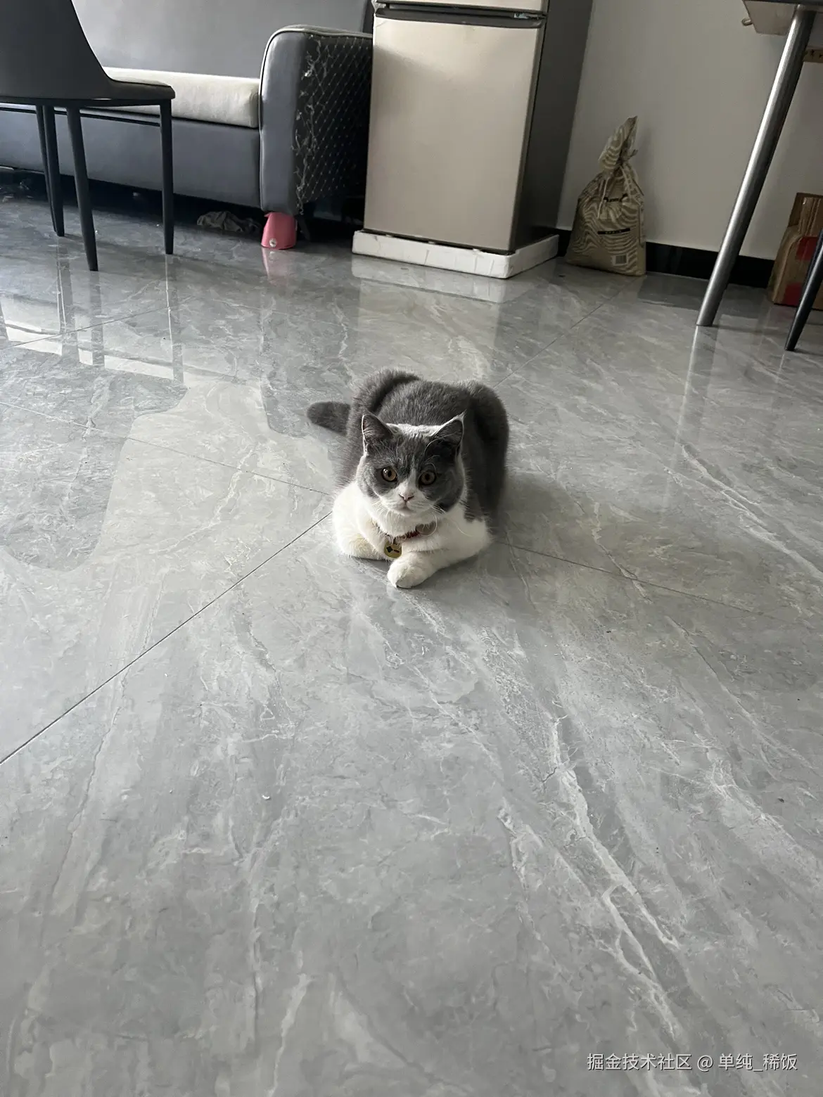 单纯_稀饭于2024-07-22 08:06发布的图片