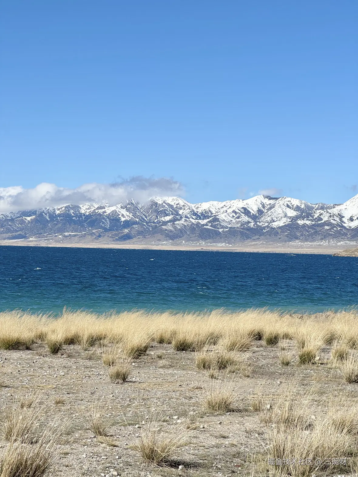 三碗呀于2025-10-23 10:38发布的图片