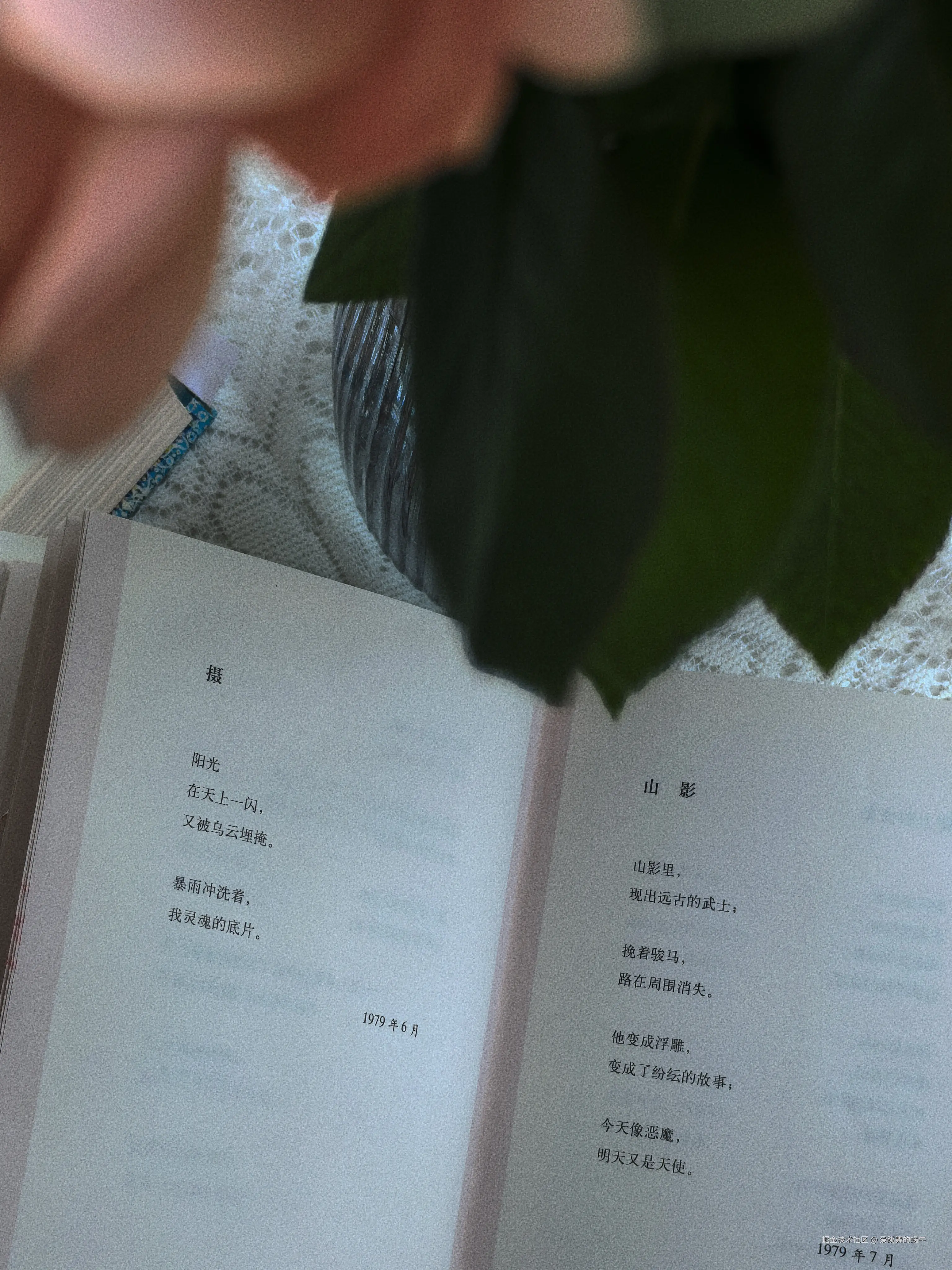 爱跳舞的蜗牛于2024-08-25 13:53发布的图片