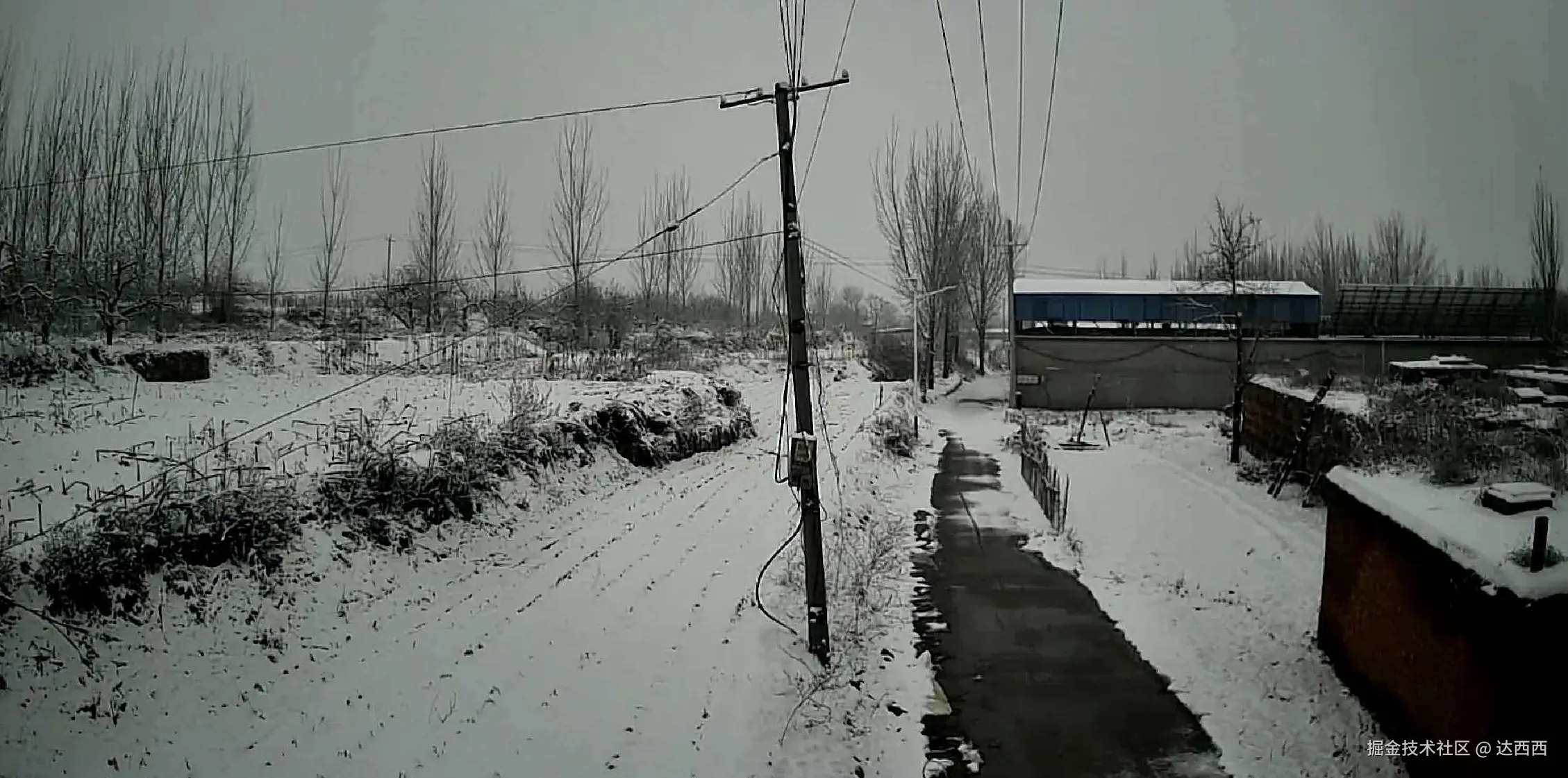 达西西于2025-12-12 07:35发布的图片