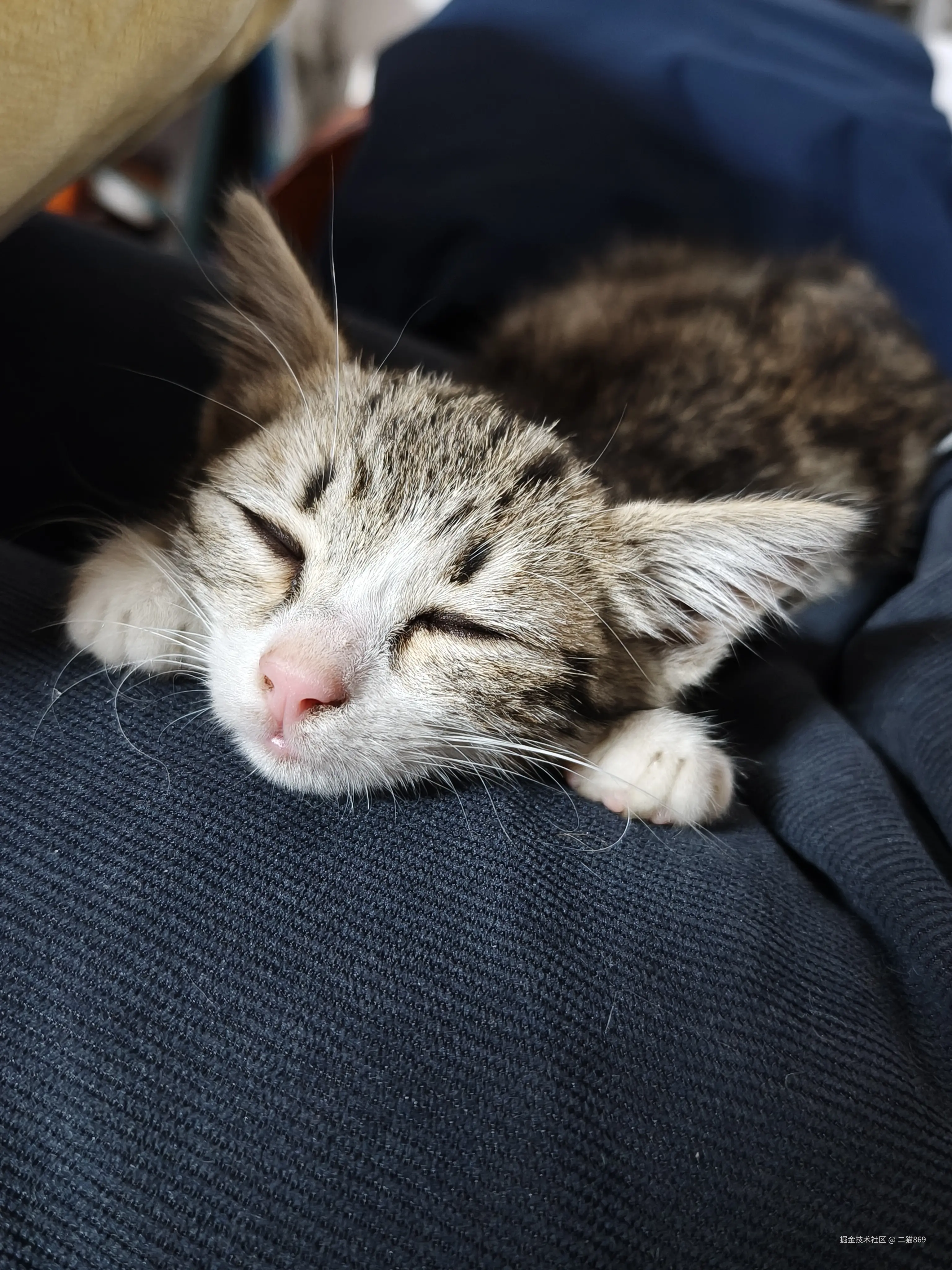 vite相关-专项档案