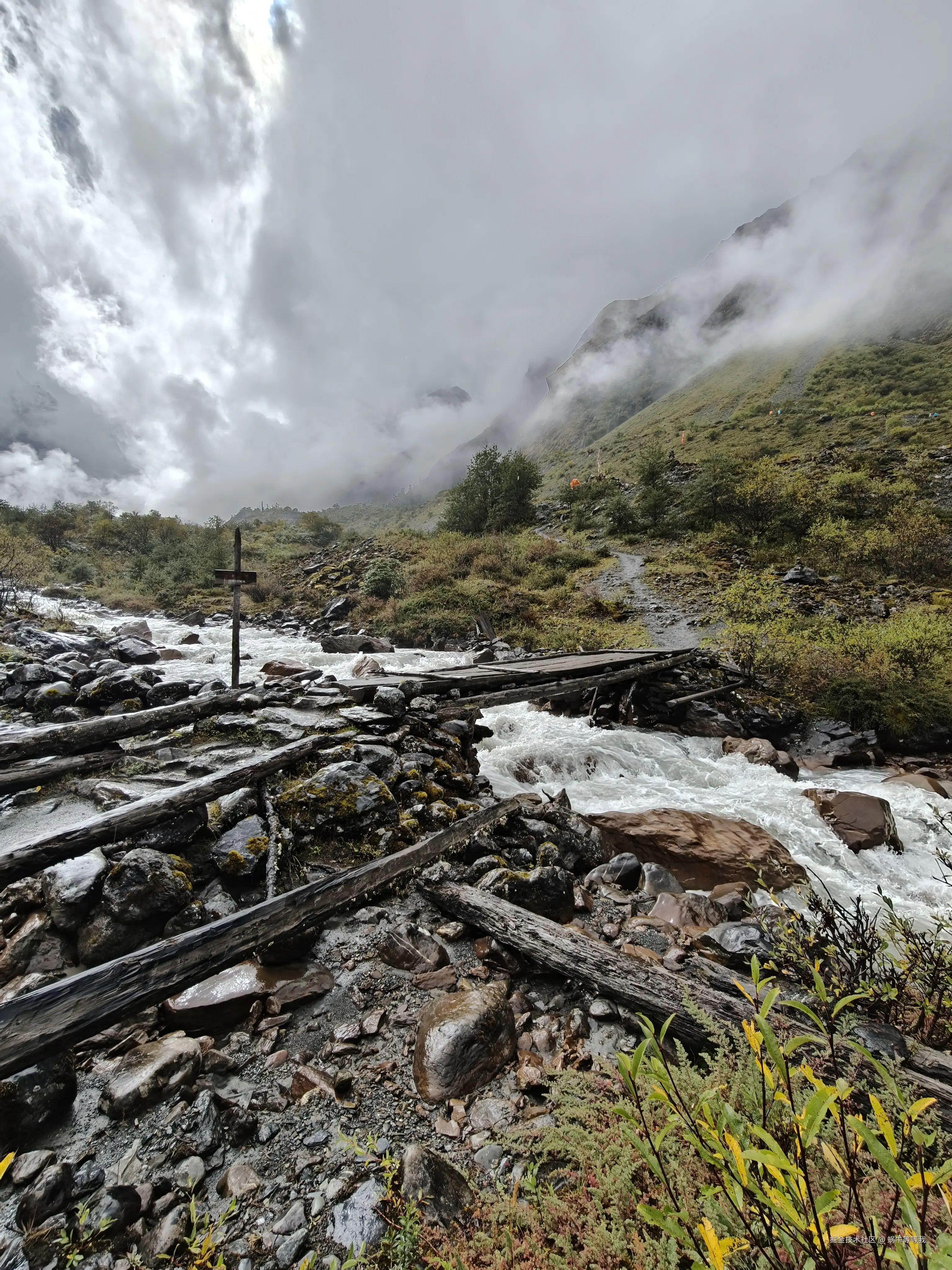 蜗牛等等我于2025-10-09 01:03发布的图片